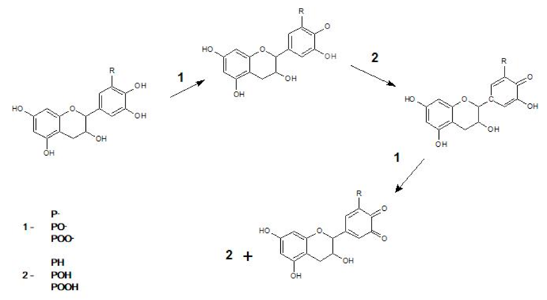 Materials 13 05719 g002