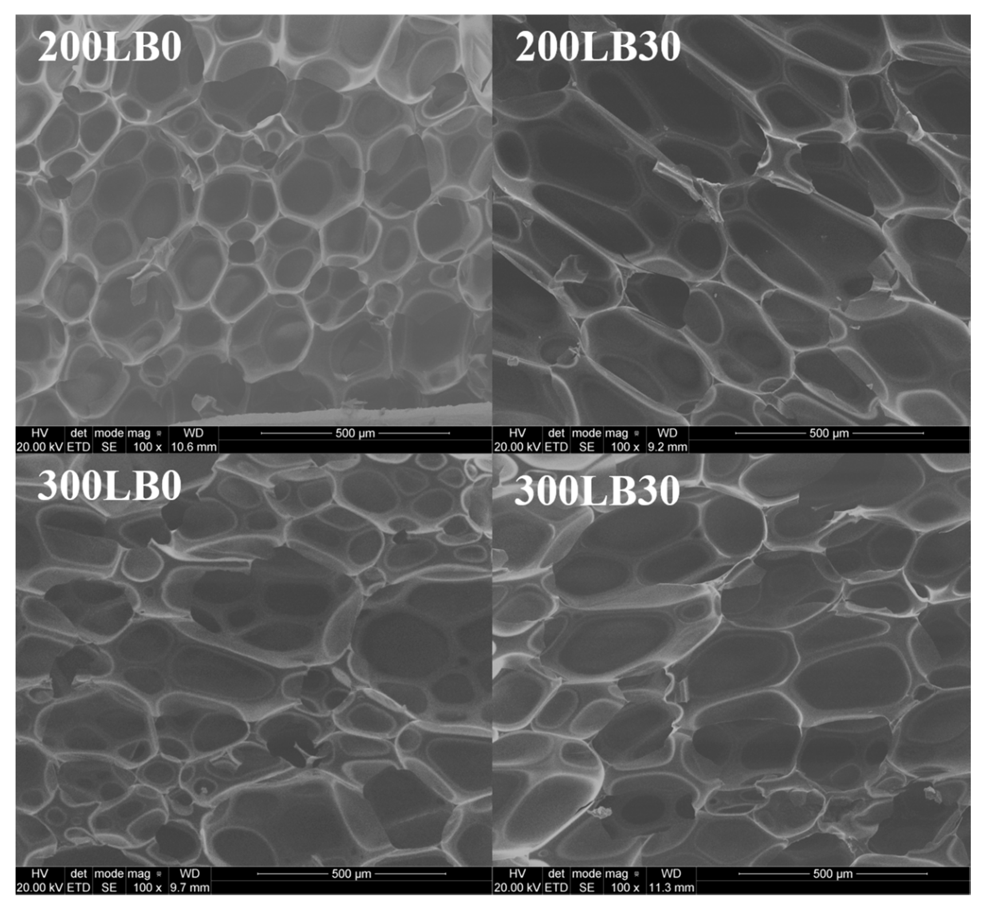 Materials 13 05734 g009