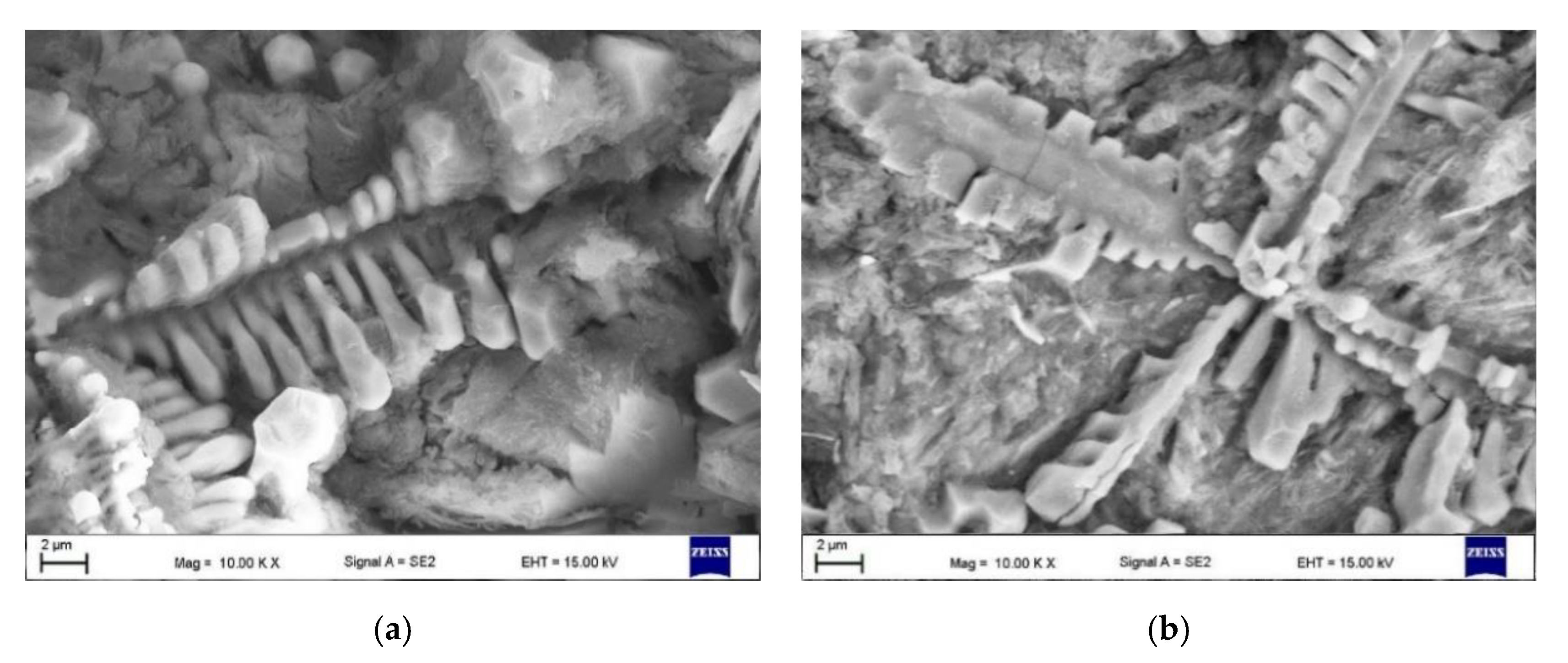 Materials 13 05750 g012