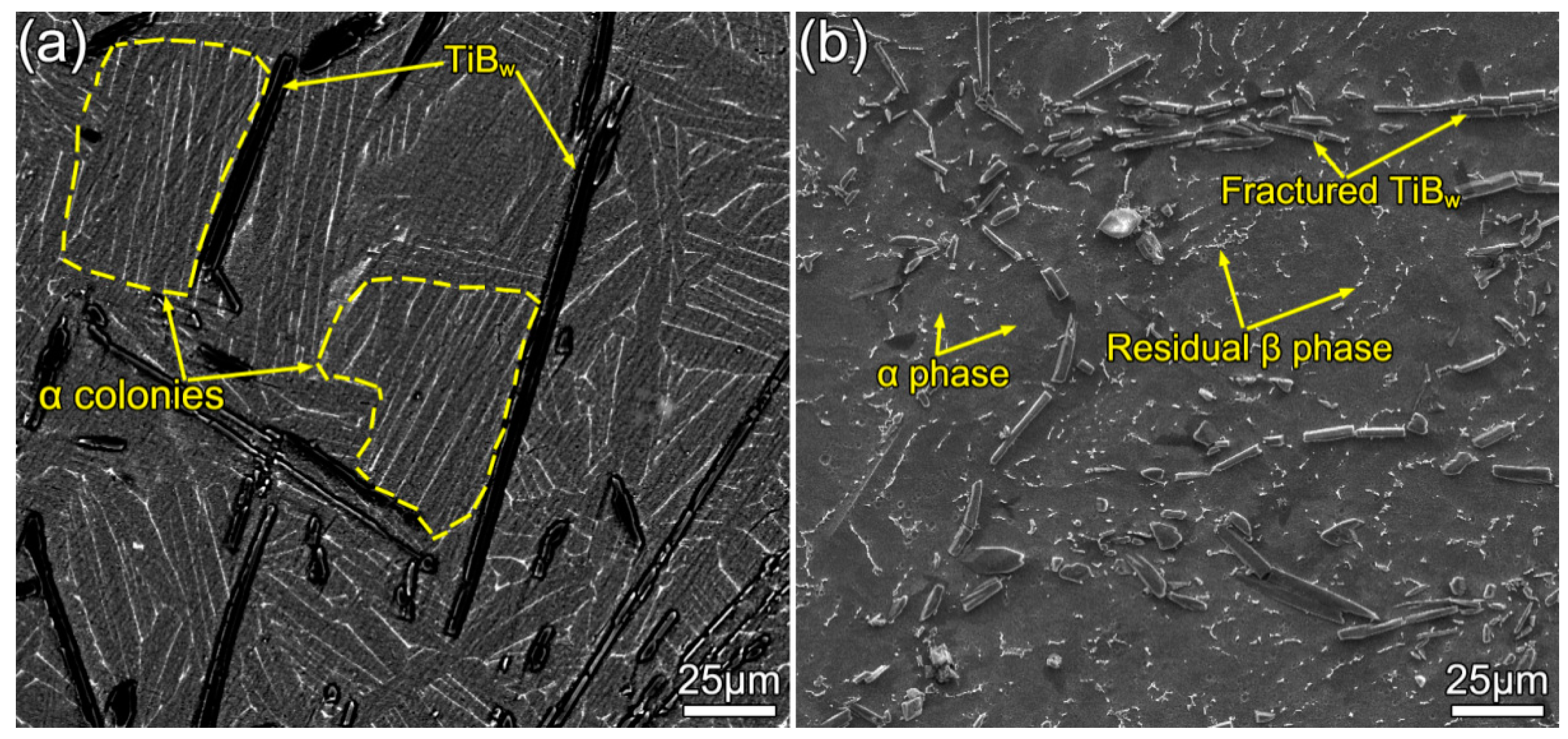 Materials 13 05751 g003