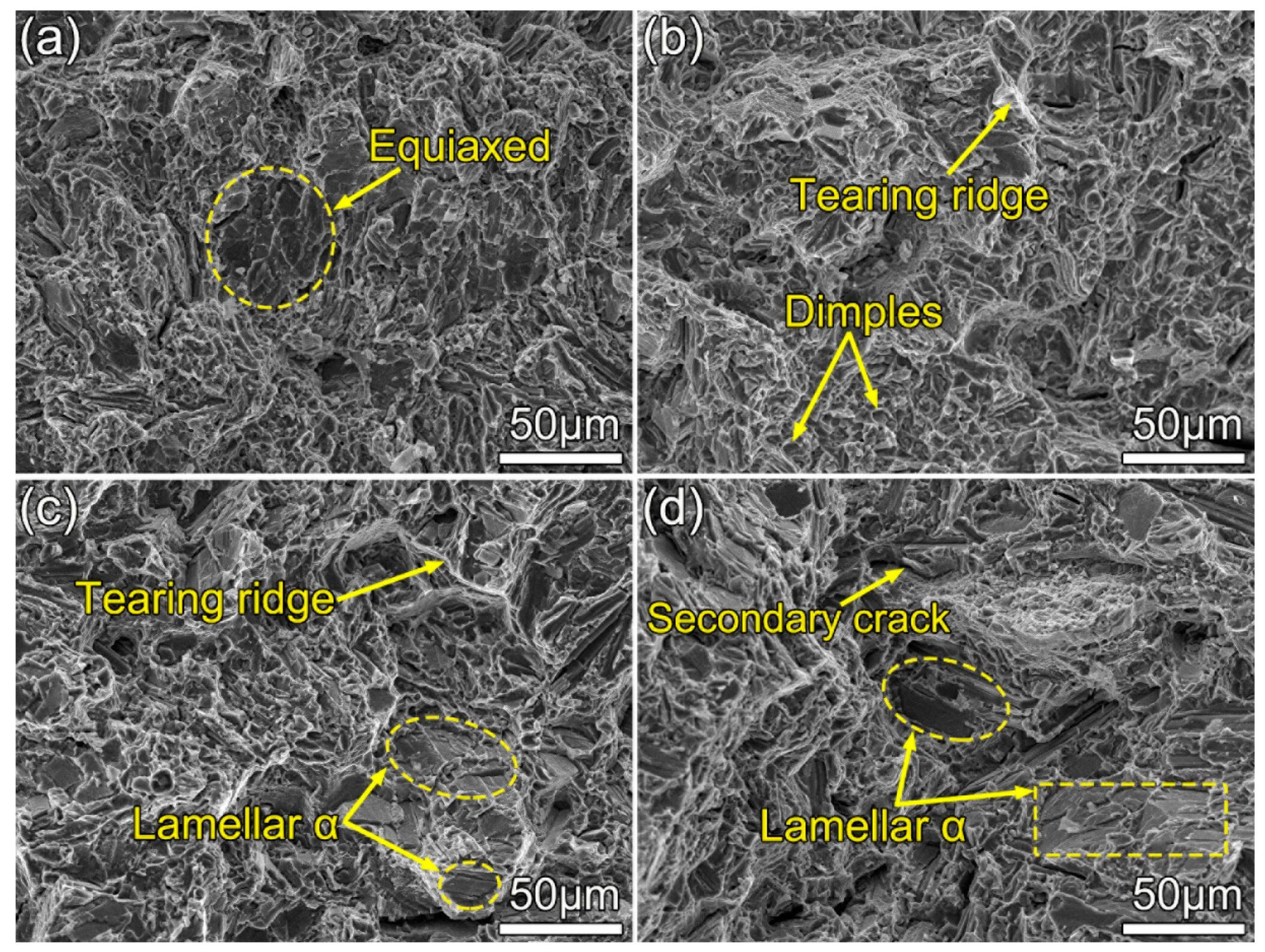 Materials 13 05751 g007
