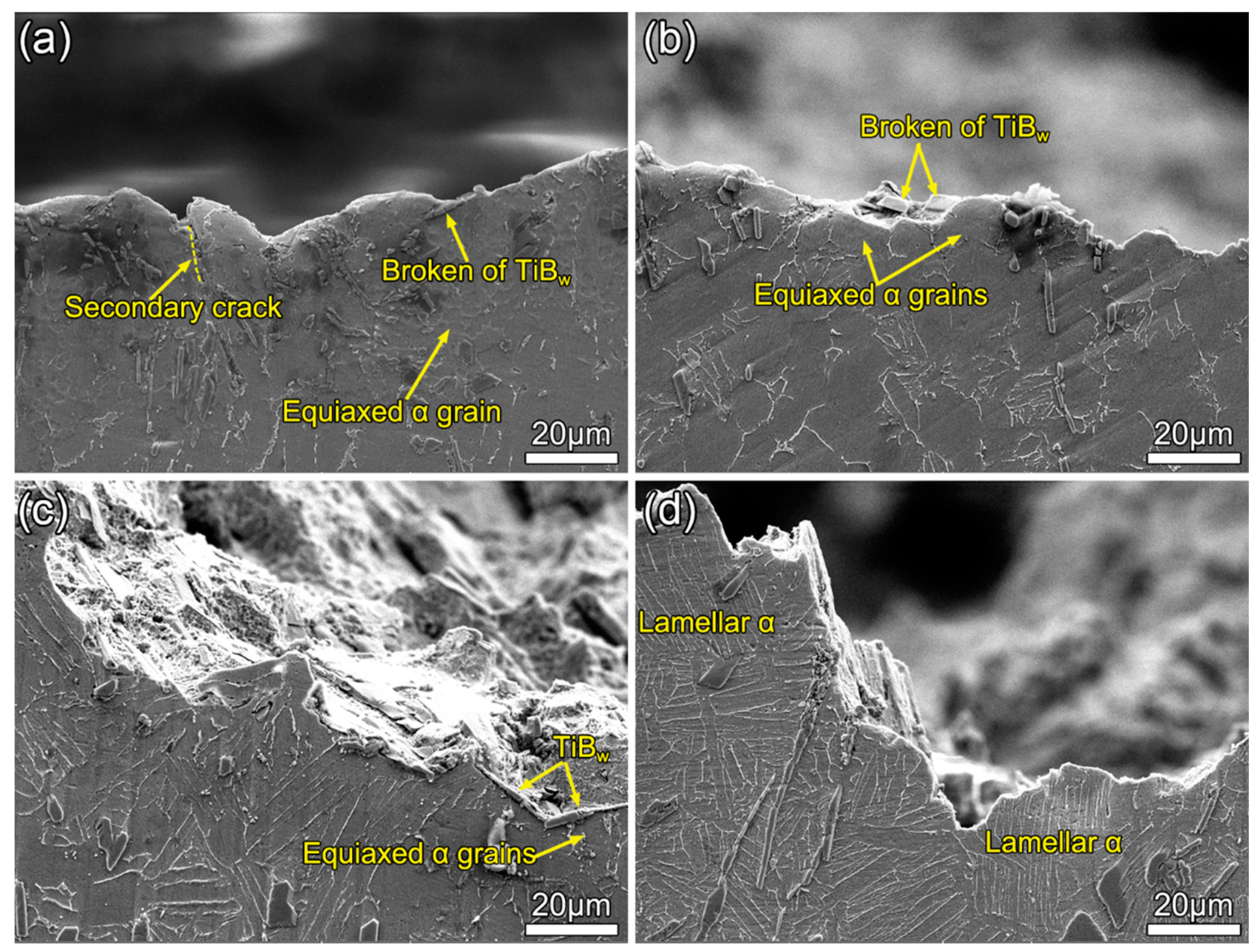 Materials 13 05751 g008