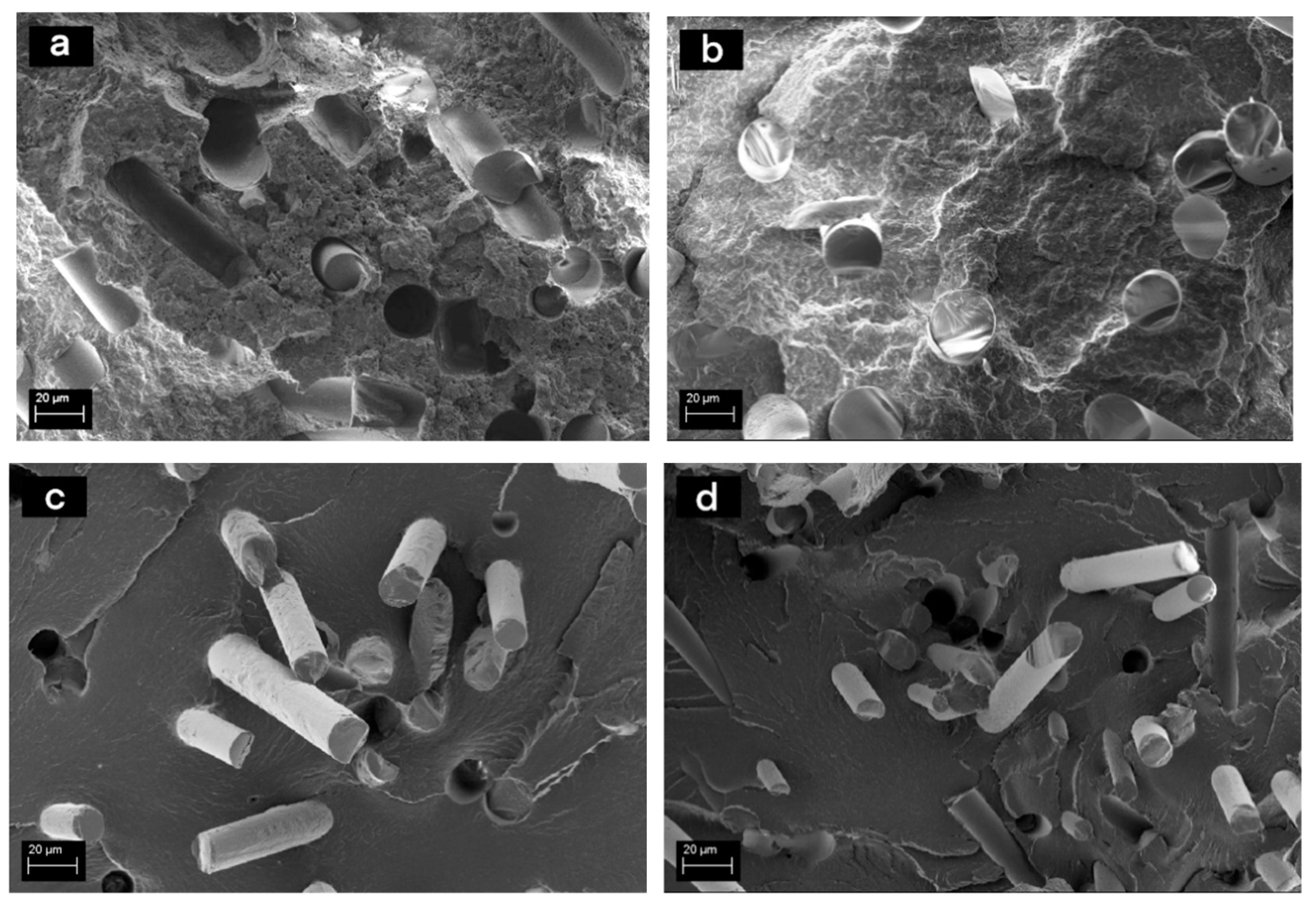 Materials 13 05773 g007