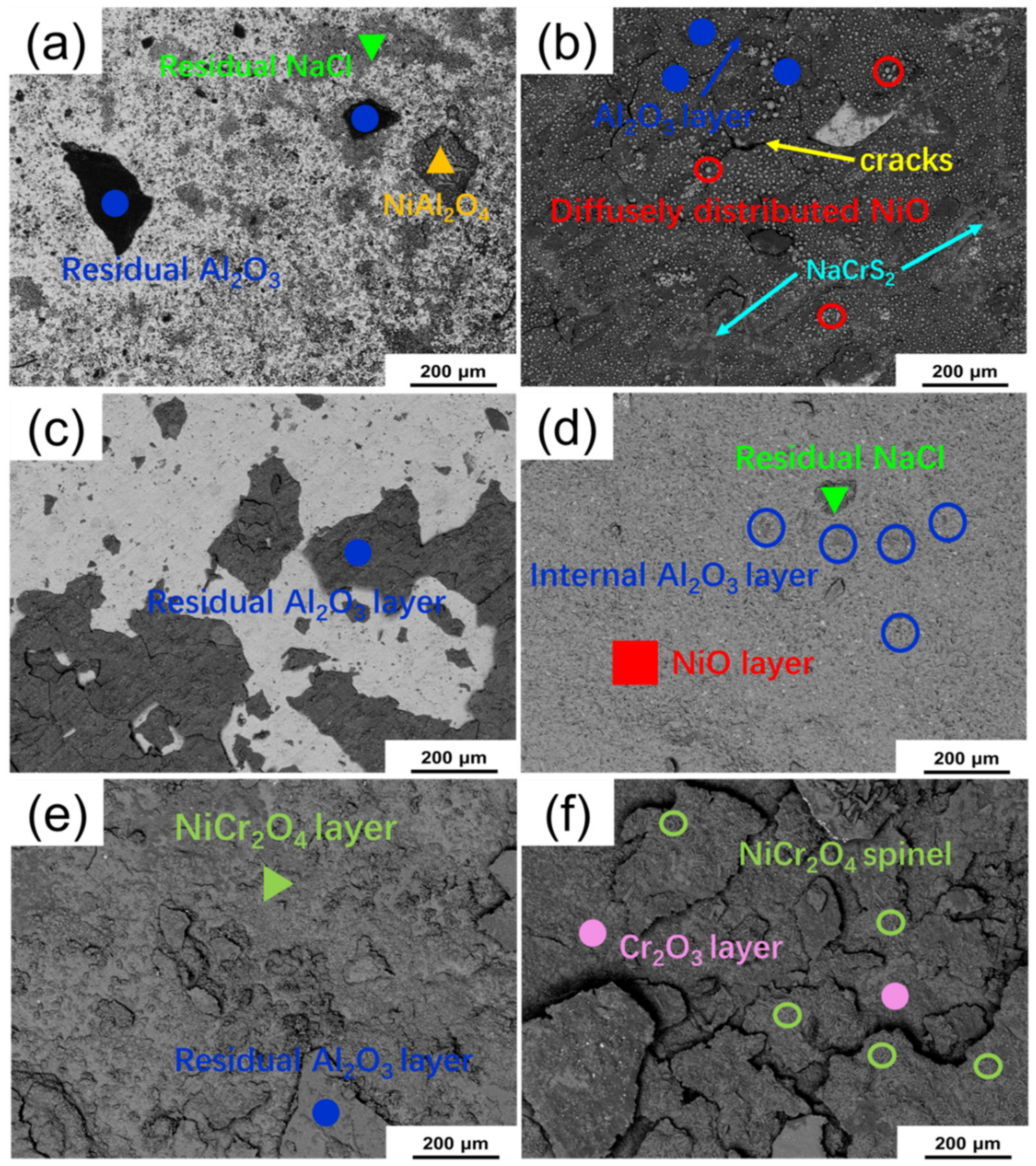 Materials 13 05774 g006