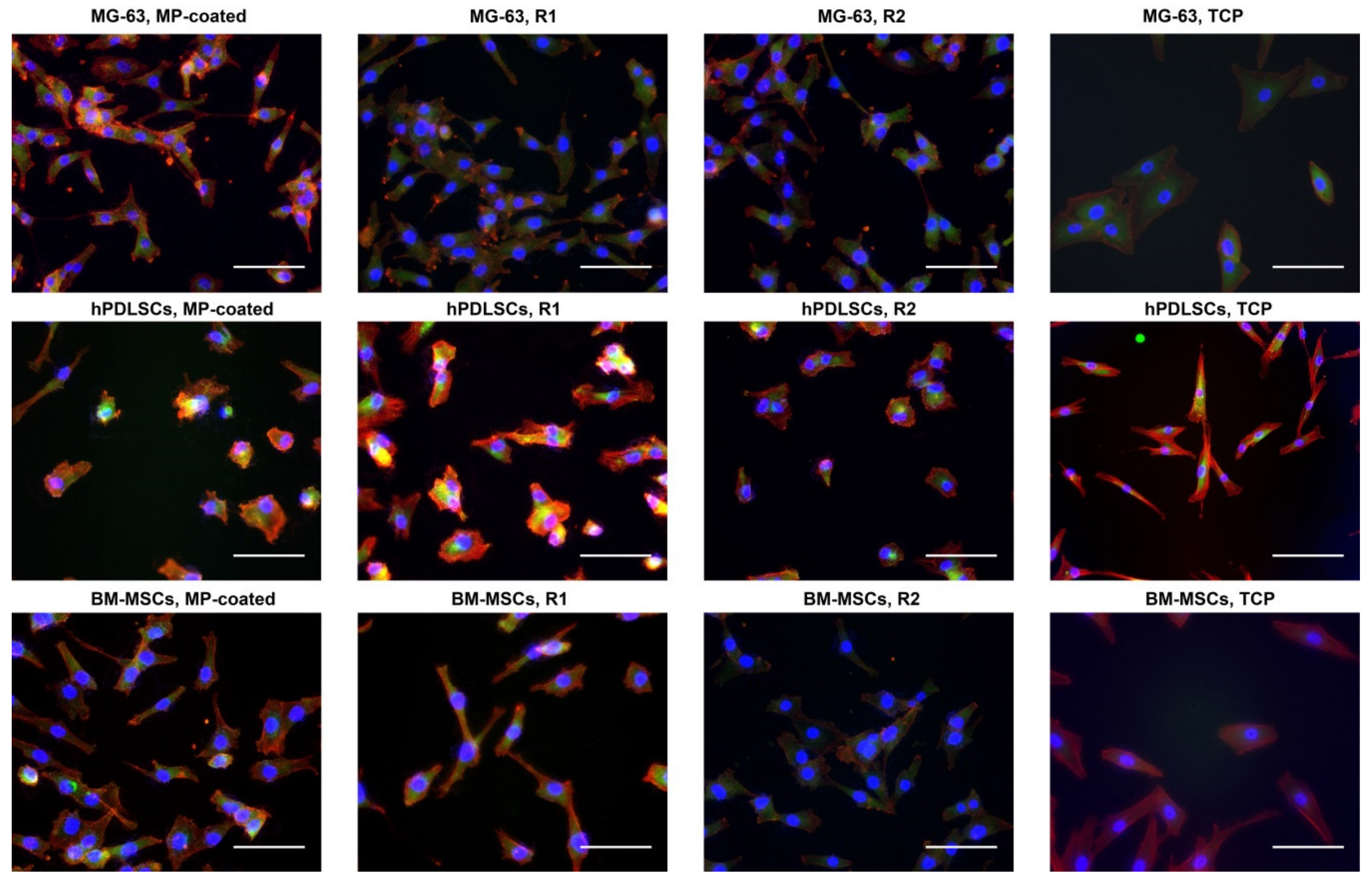 Materials 13 05777 g001