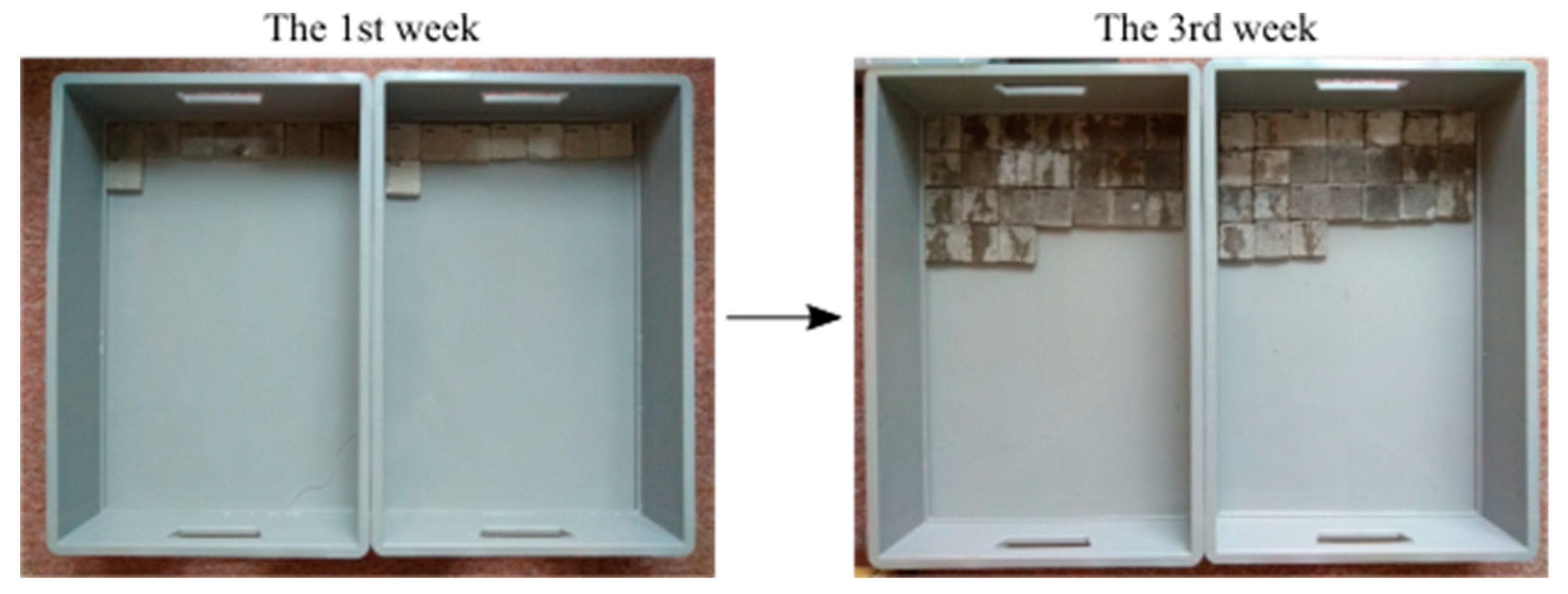 Materials 13 05787 g006 Materials 13 05787 g006