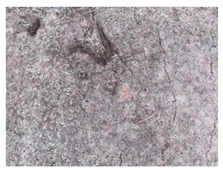 Materials 13 05787 i005 Materials 13 05787 i005