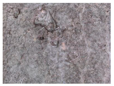 Materials 13 05787 i006 Materials 13 05787 i006