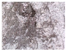 Materials 13 05787 i010 Materials 13 05787 i010