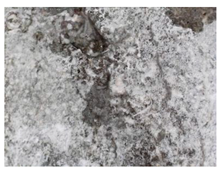 Materials 13 05787 i012 Materials 13 05787 i012