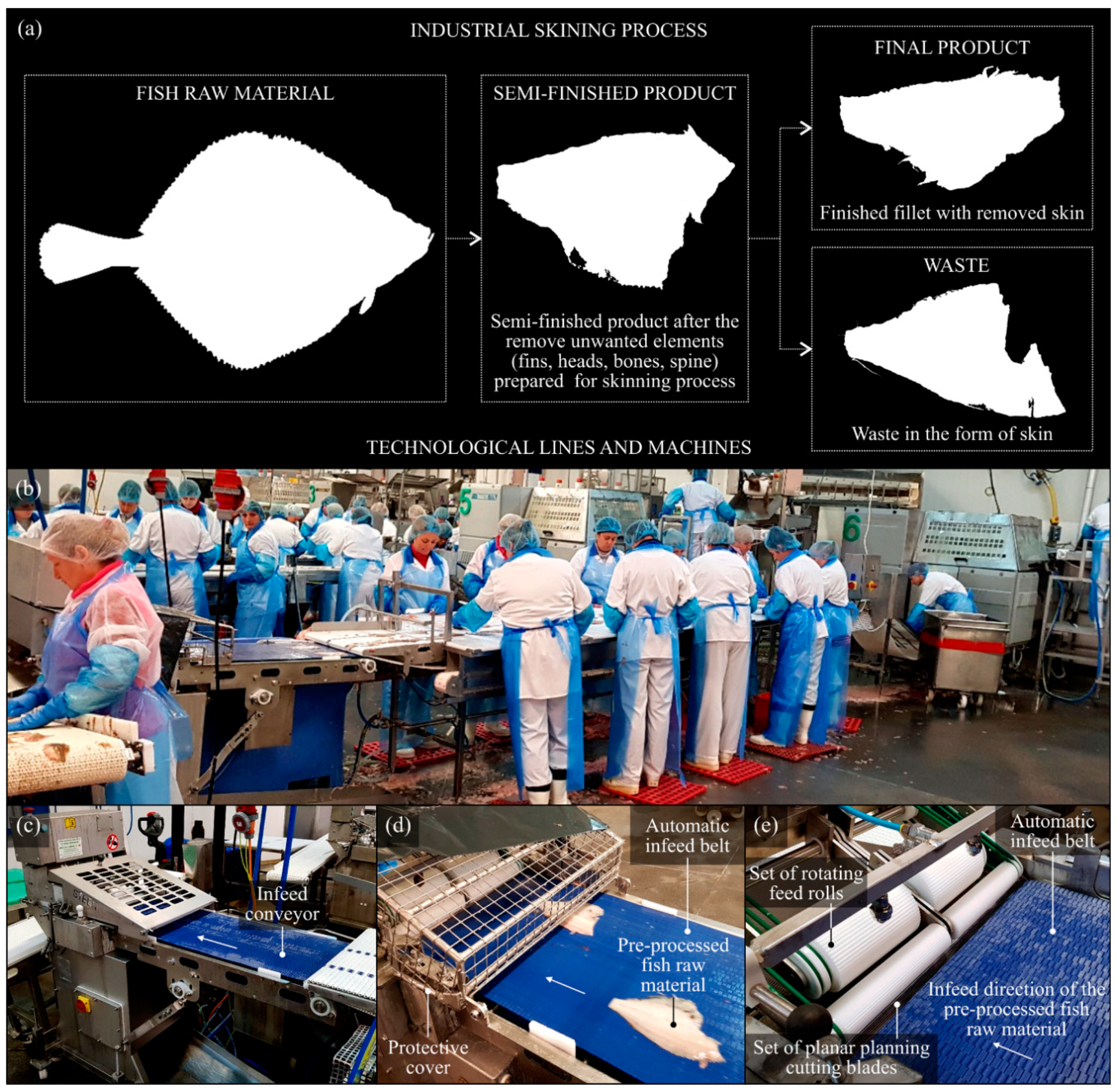 Materials 13 05796 g001