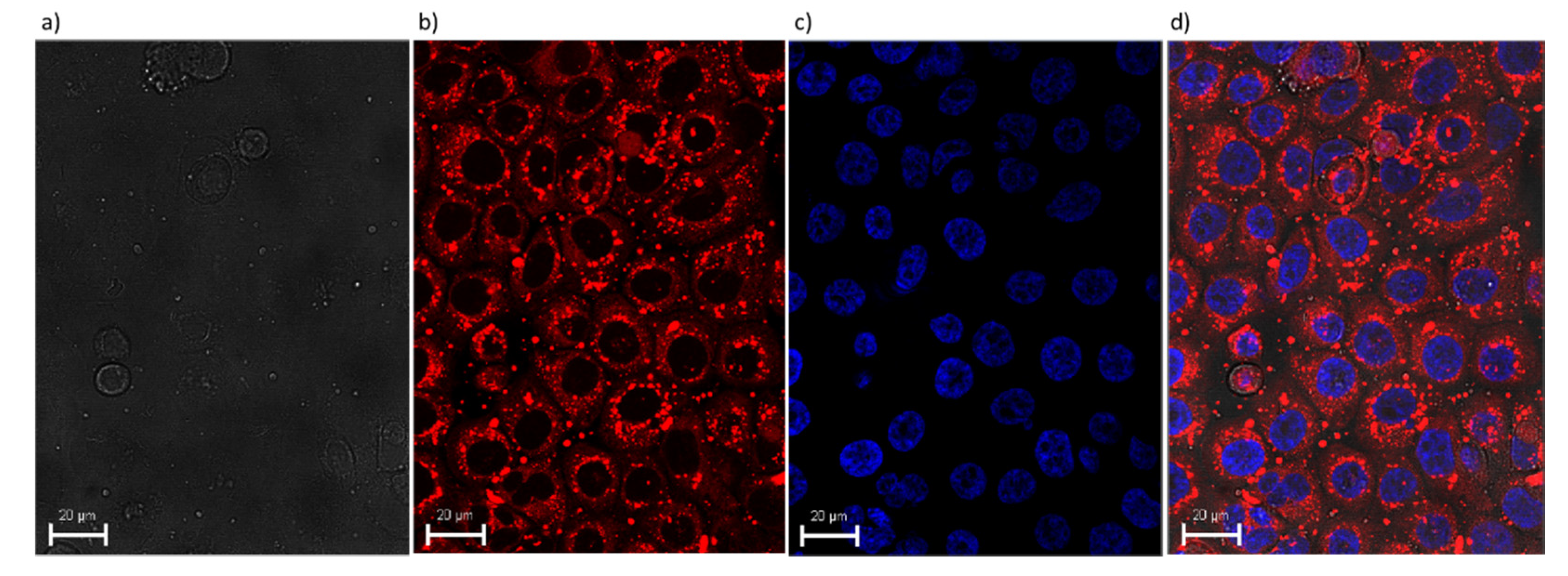 Materials 13 05813 g004 Materials 13 05813 g004