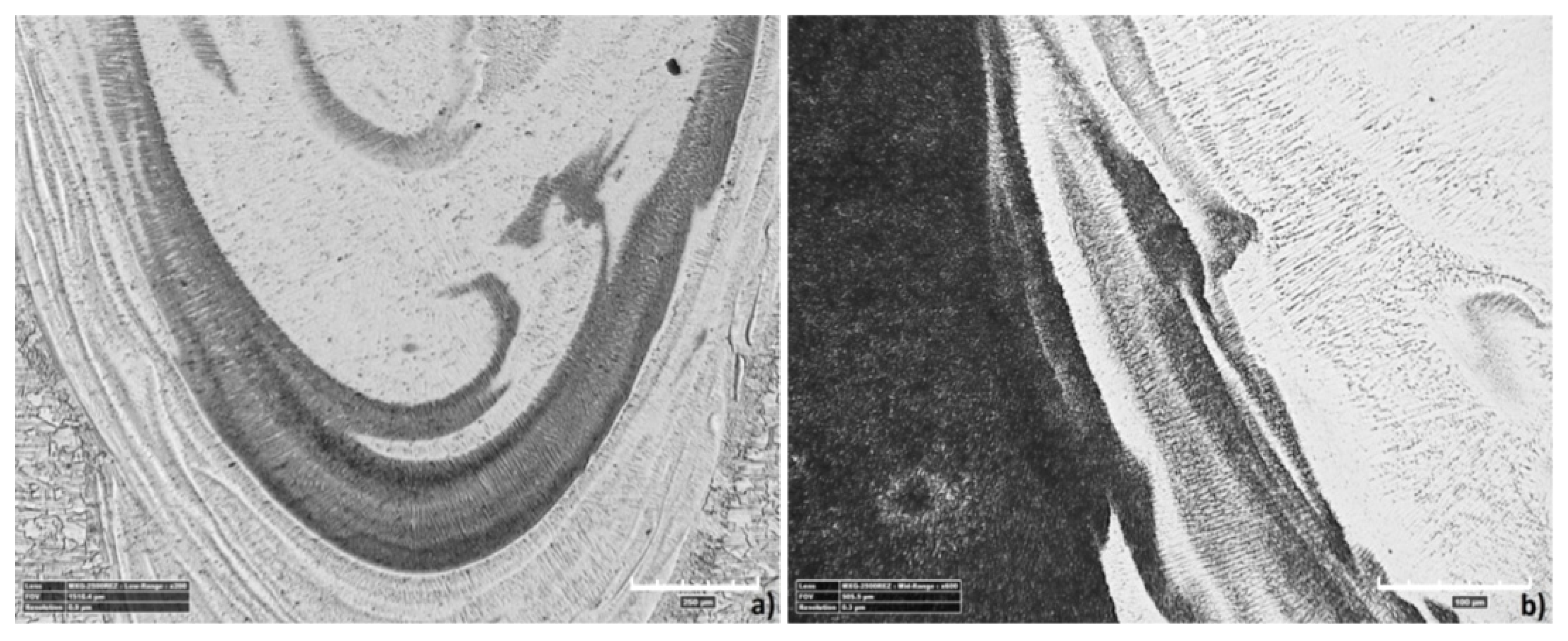 Materials 13 05819 g018