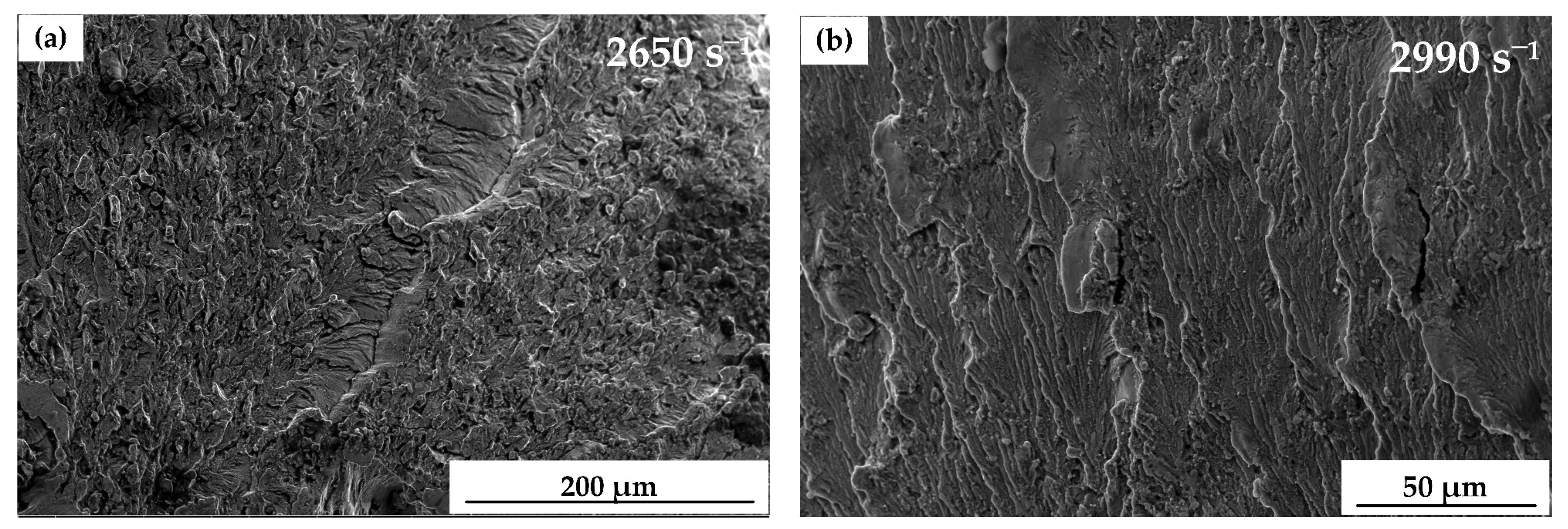 Materials 13 05828 g007 Materials 13 05828 g007