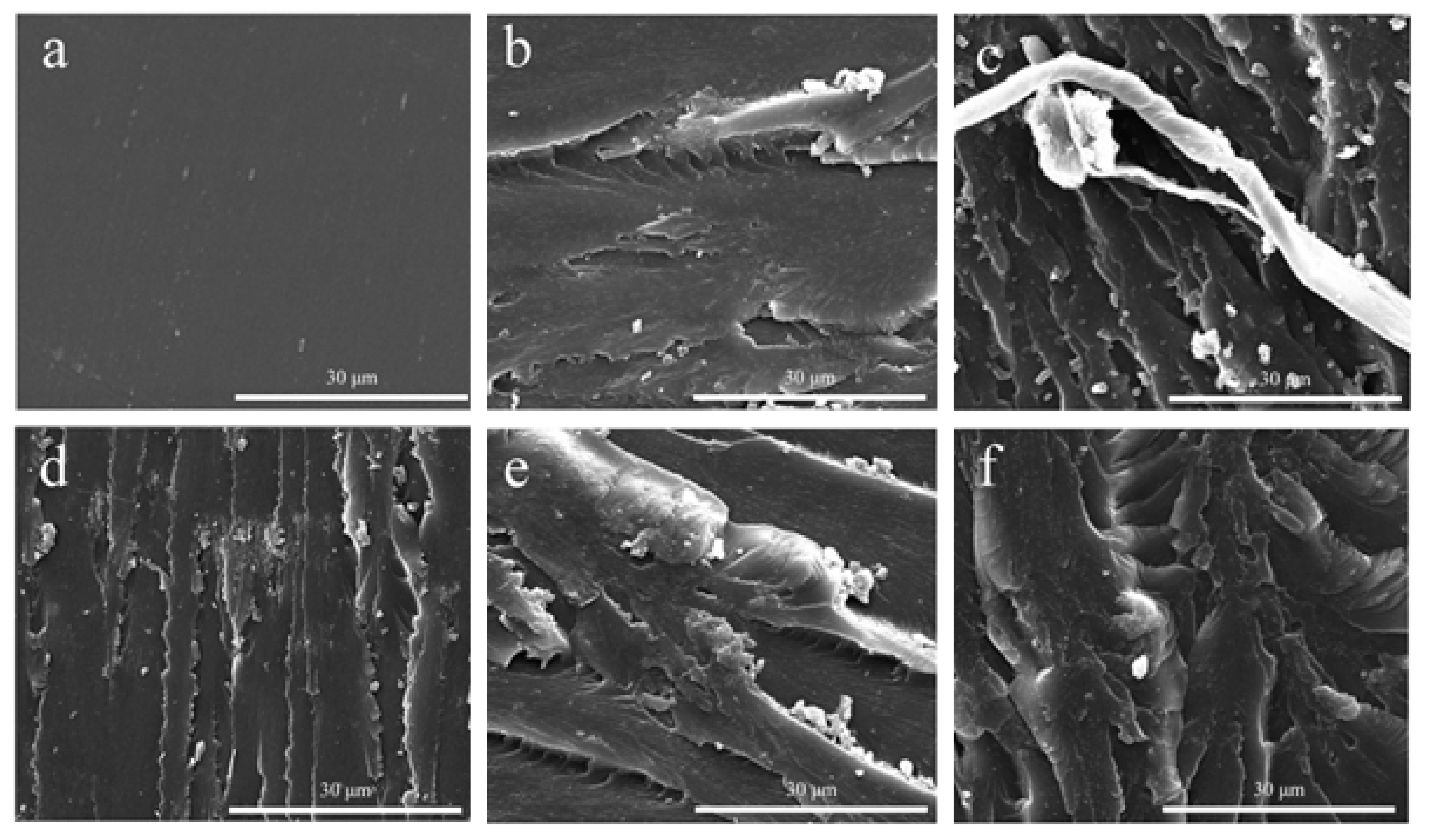 Materials 13 05838 g012