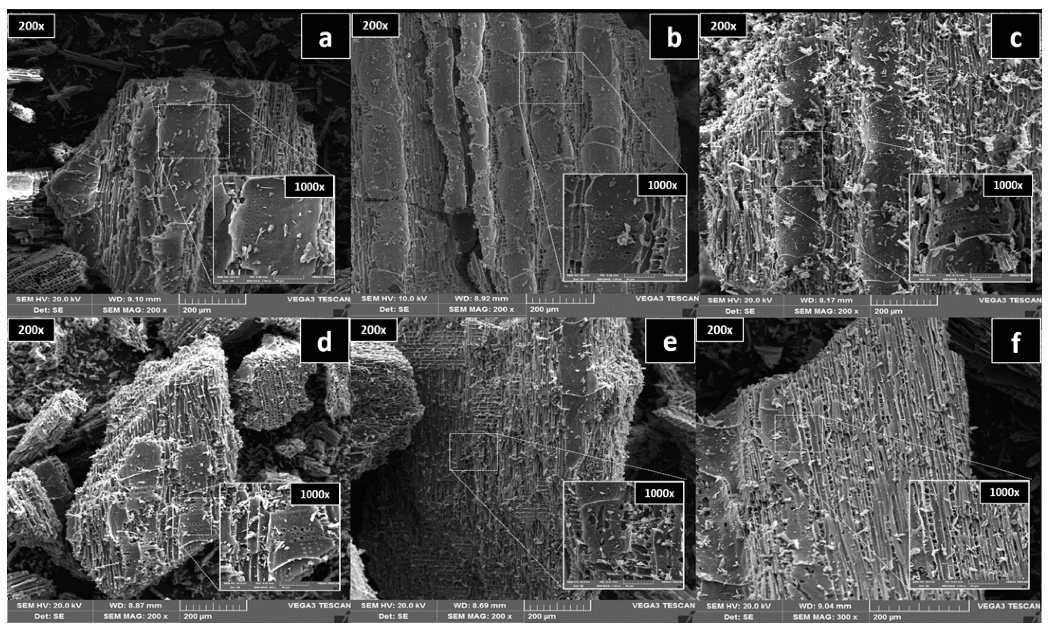 Materials 13 05841 g003