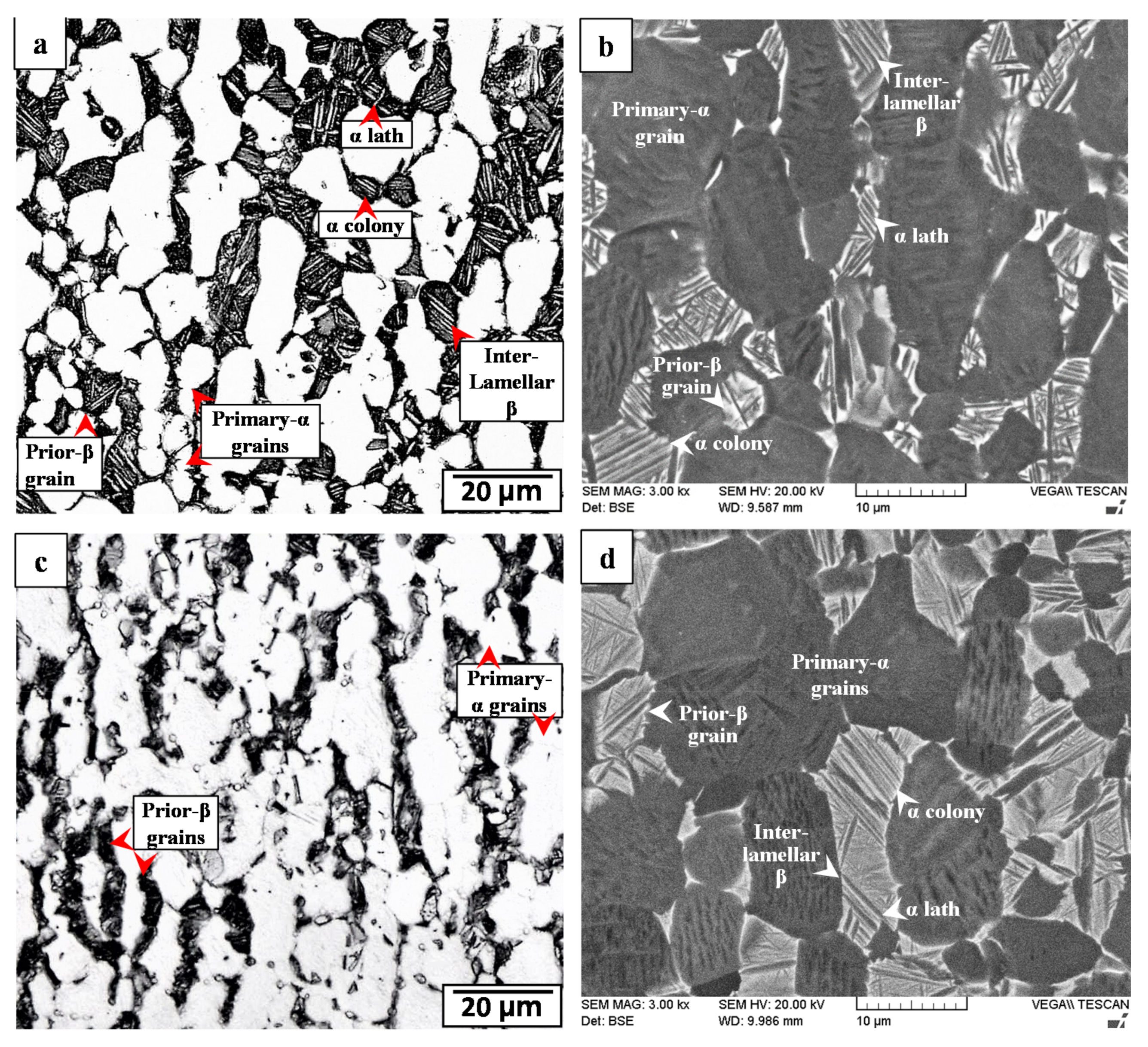 Materials 14 00030 g005 Materials 14 00030 g005