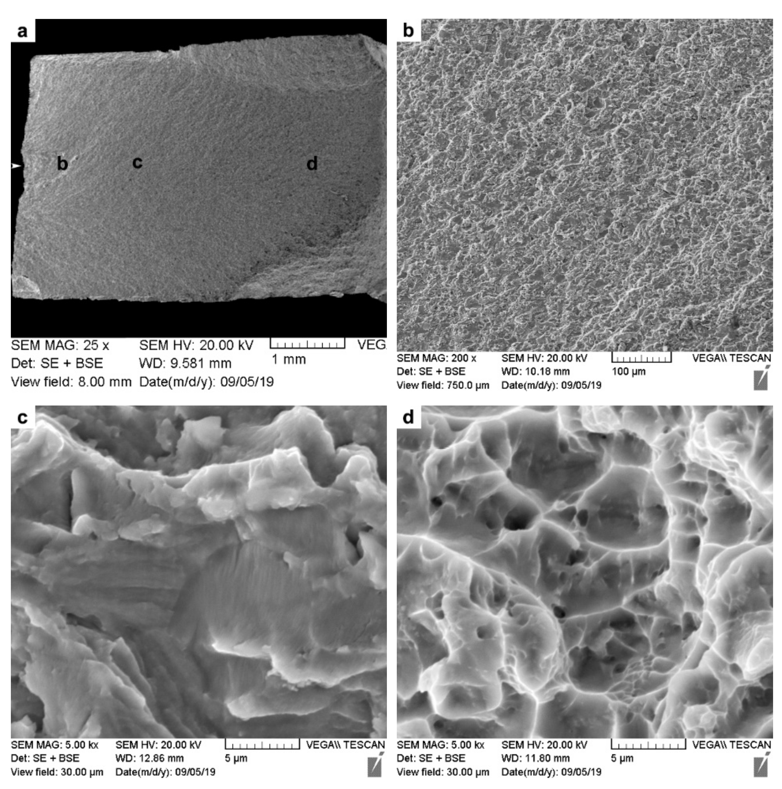 Materials 14 00030 g014 Materials 14 00030 g014