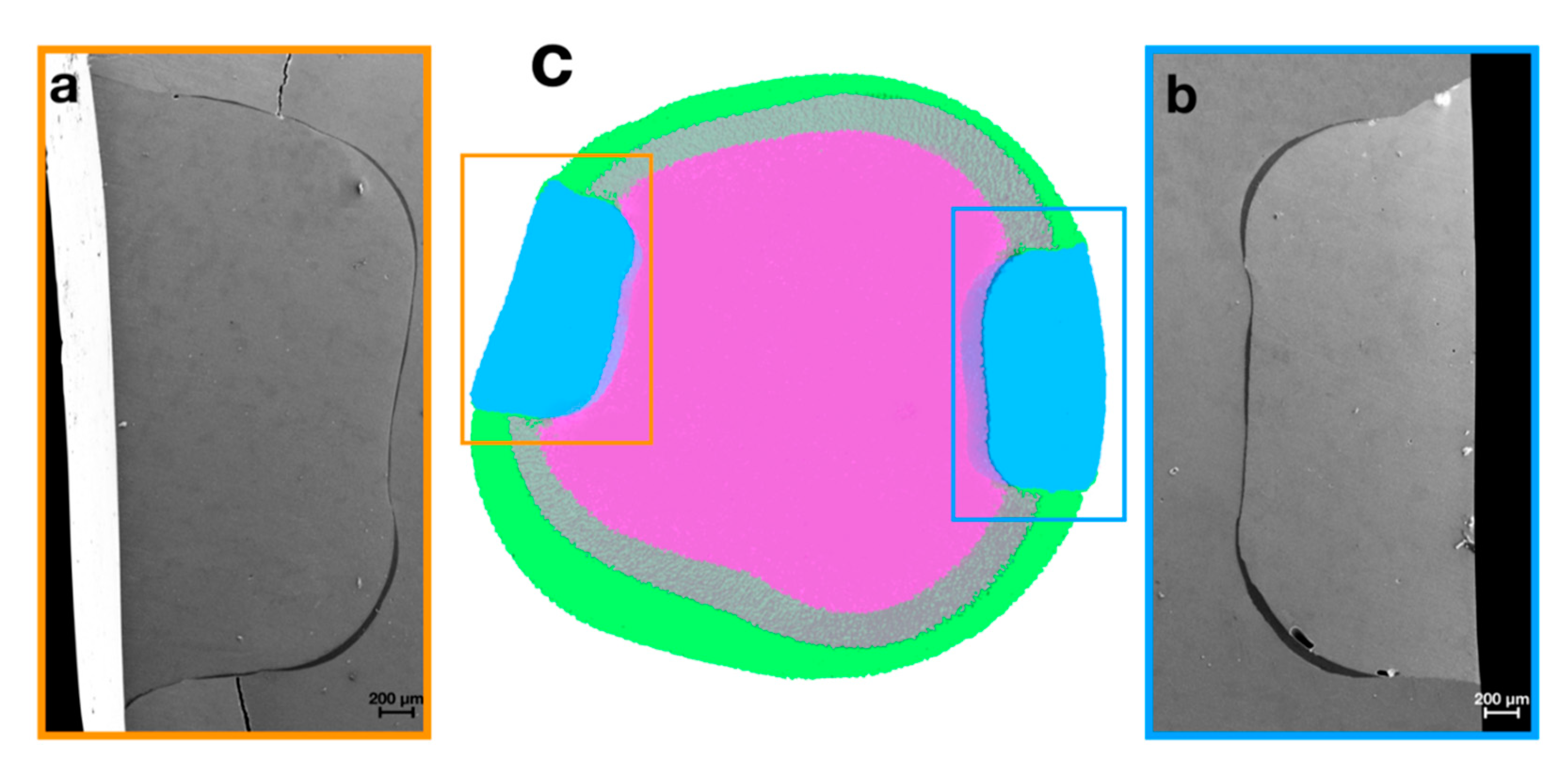 Materials 14 00031 g004