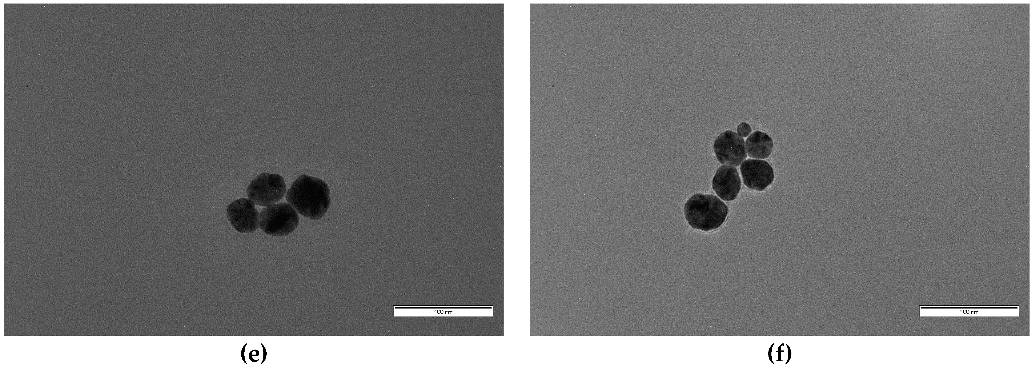 Materials 14 00050 g006b Materials 14 00050 g006b