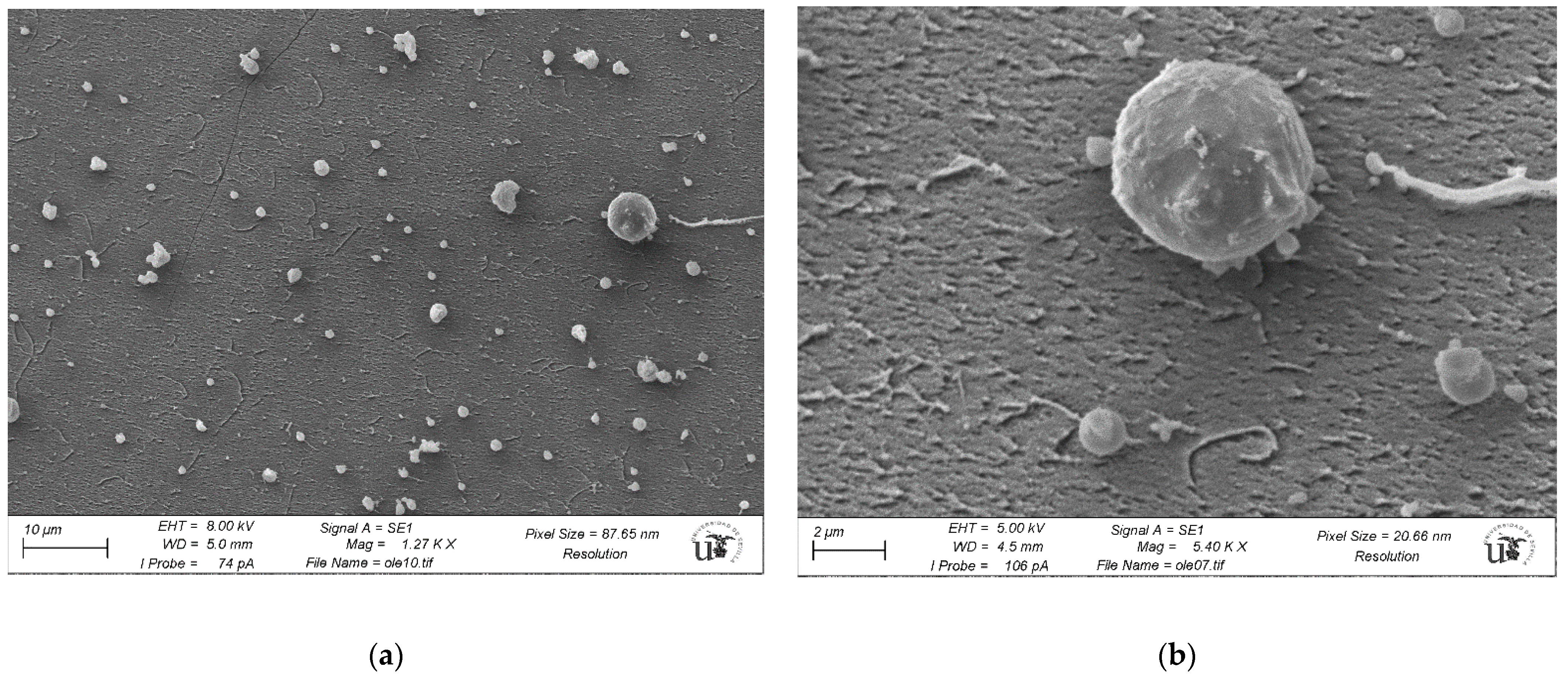 Materials 14 00050 g009 Materials 14 00050 g009