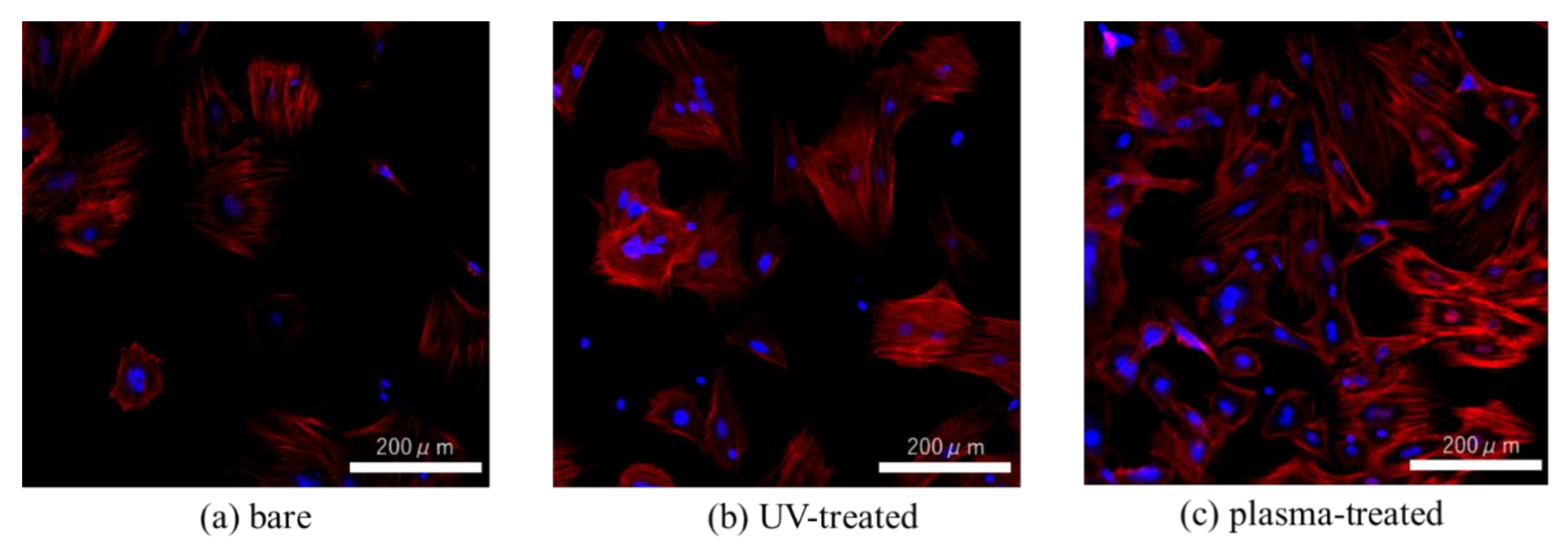 Materials 14 00097 g007