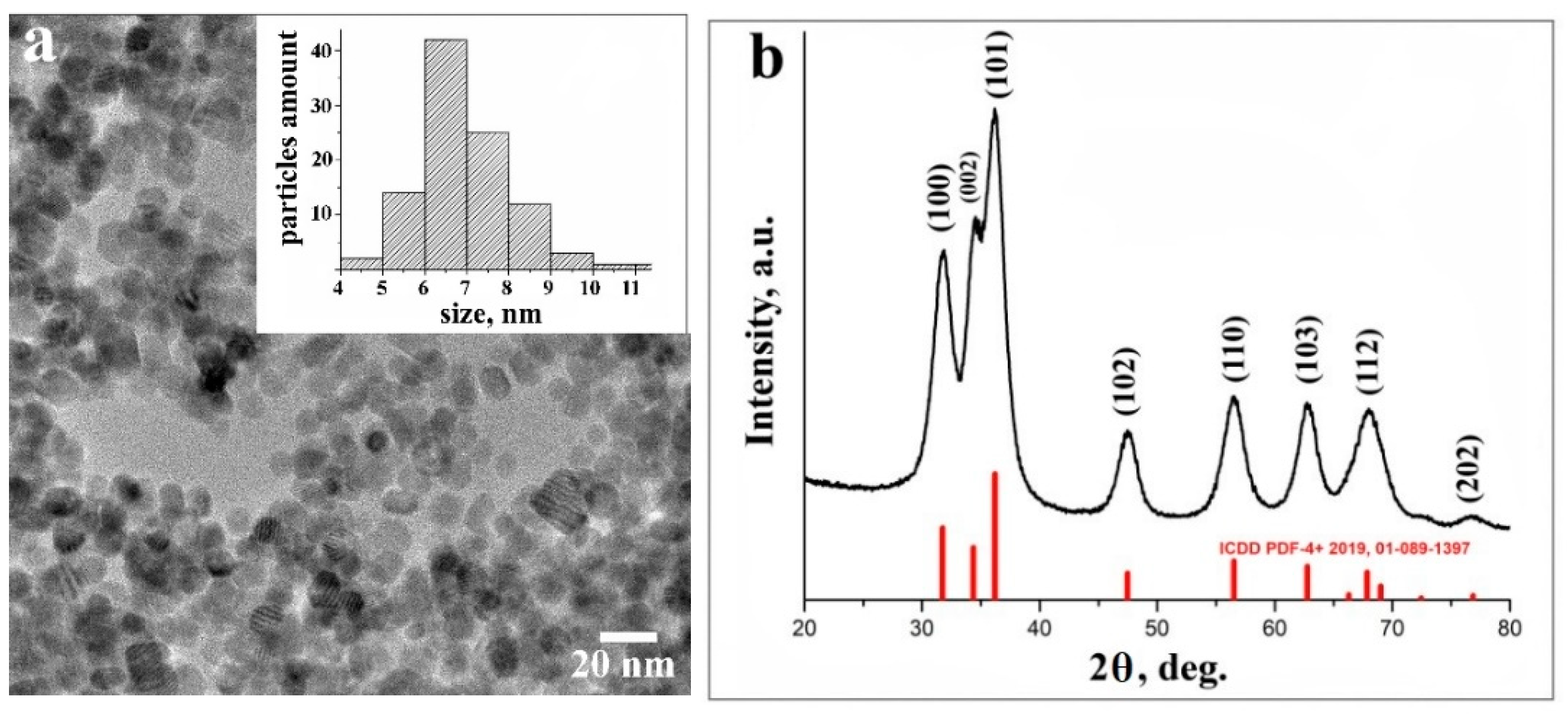 Materials 14 00103 g001
