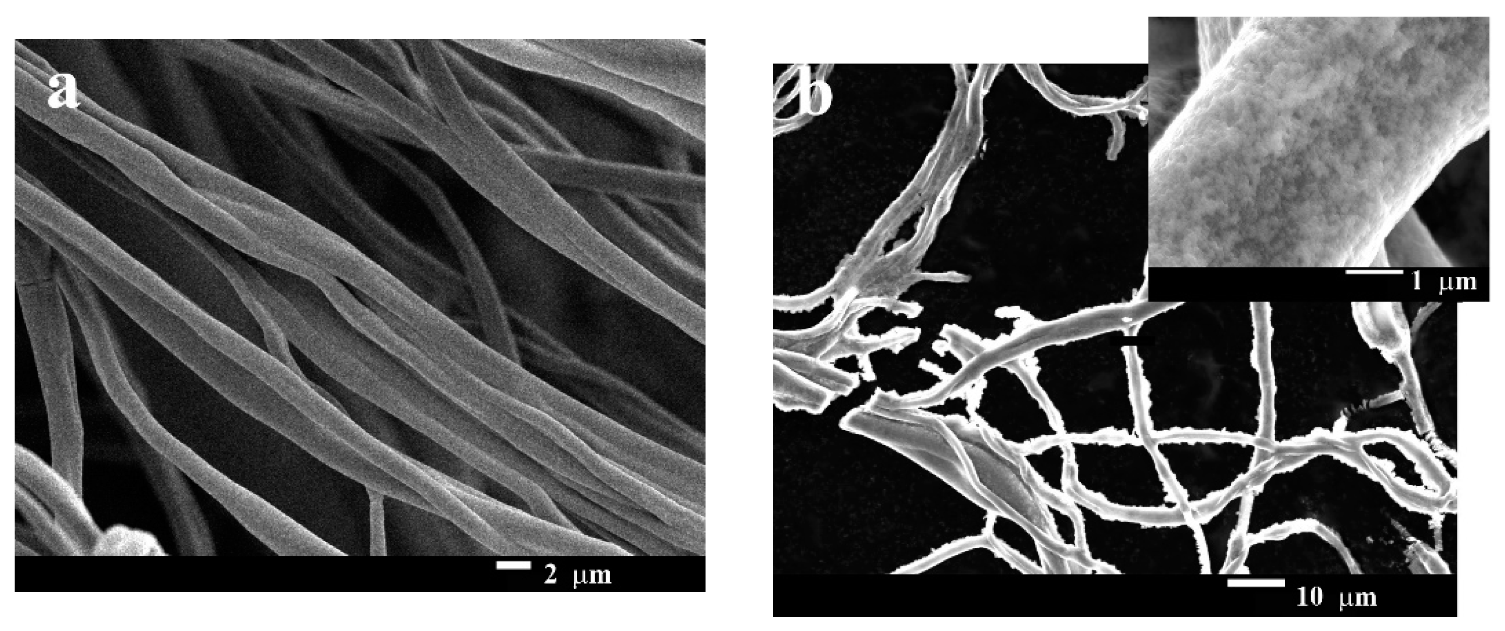 Materials 14 00103 g003