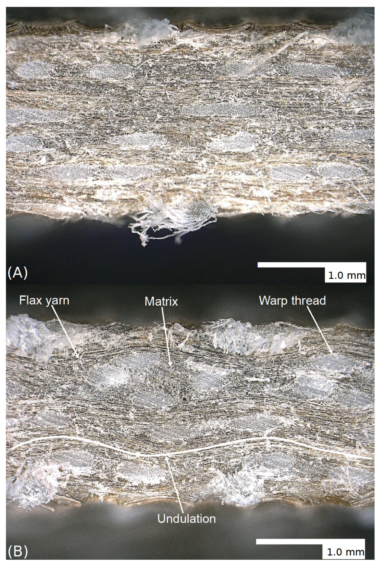 Materials 14 00105 g010 Materials 14 00105 g010