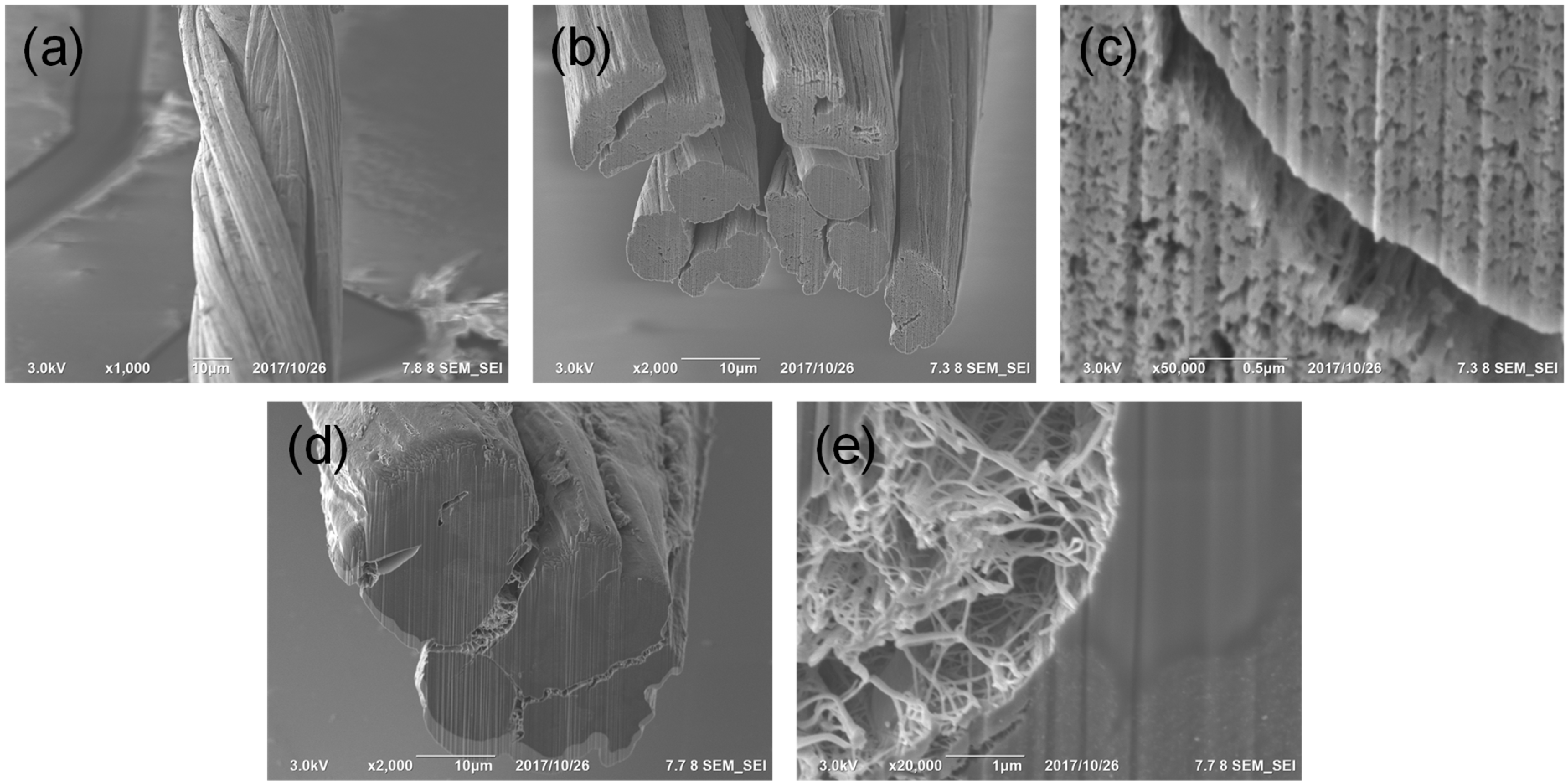 Materials 14 00106 g003 Materials 14 00106 g003