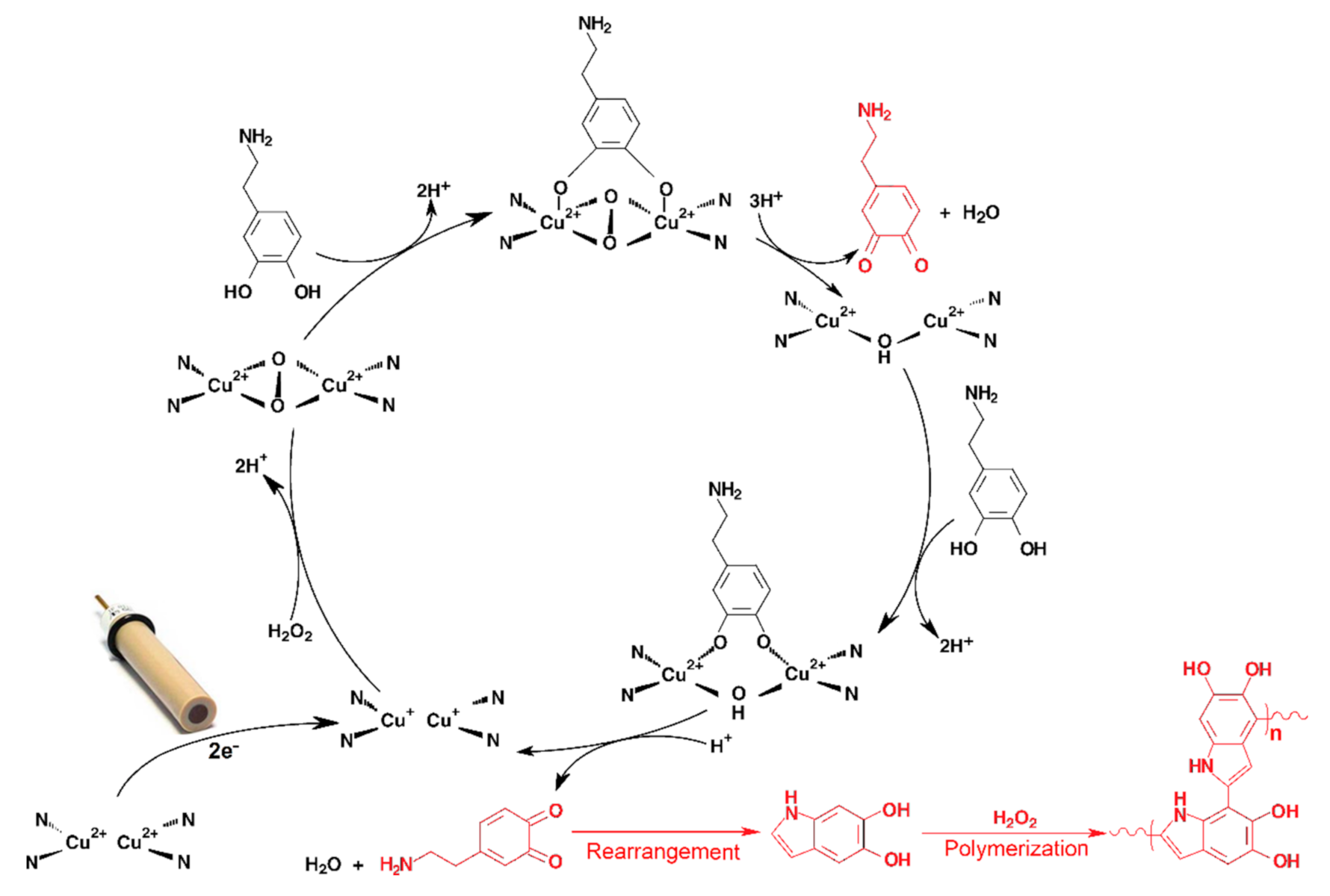 Materials 14 00113 g007