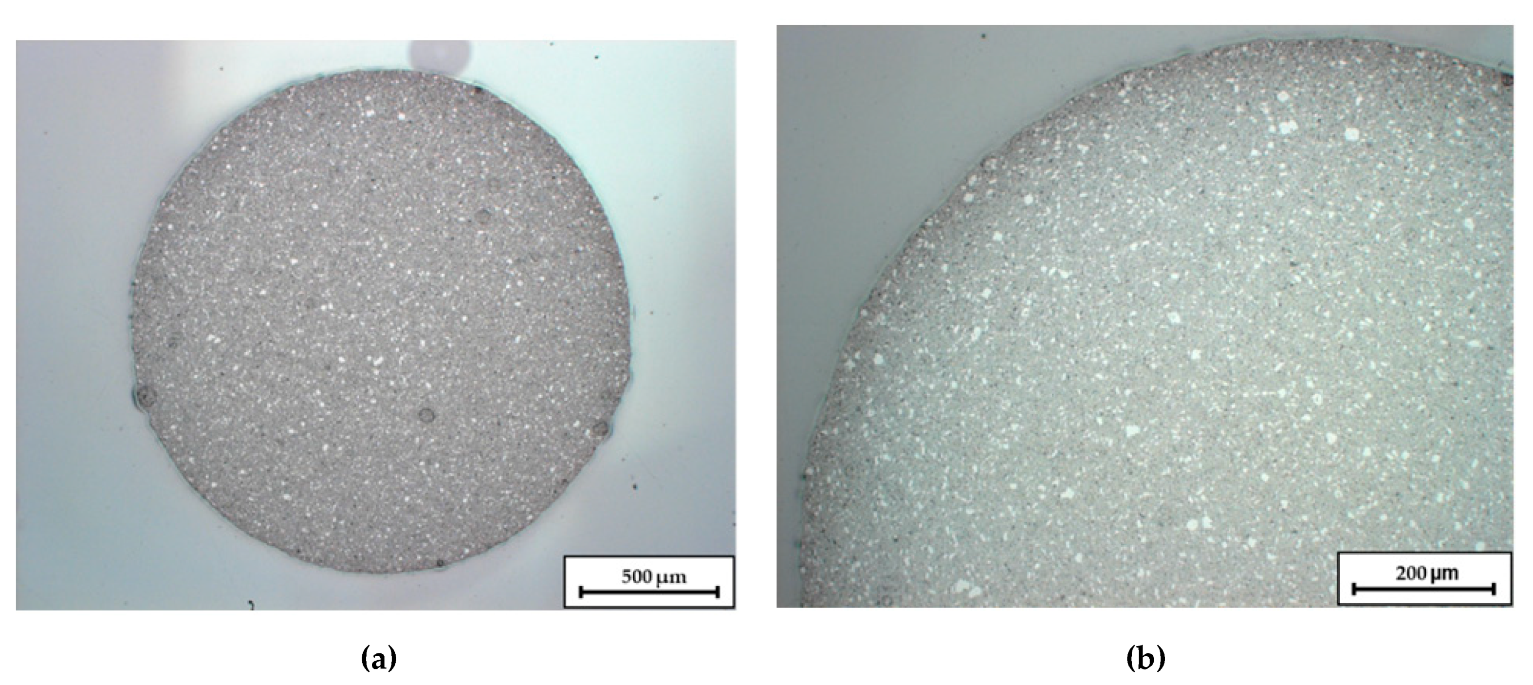 Materials 14 00156 g001