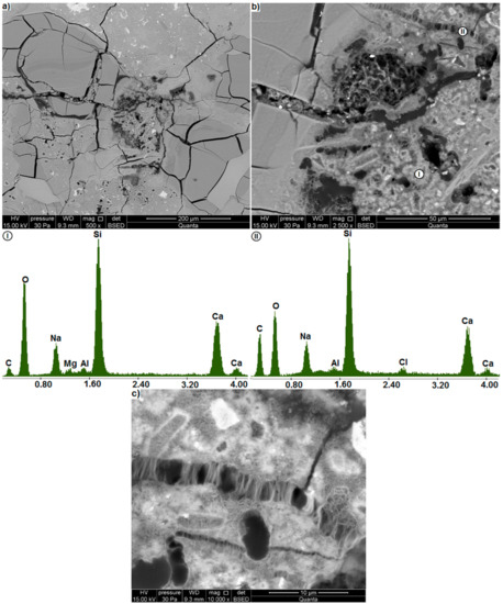 Materials 14 00159 g002 550