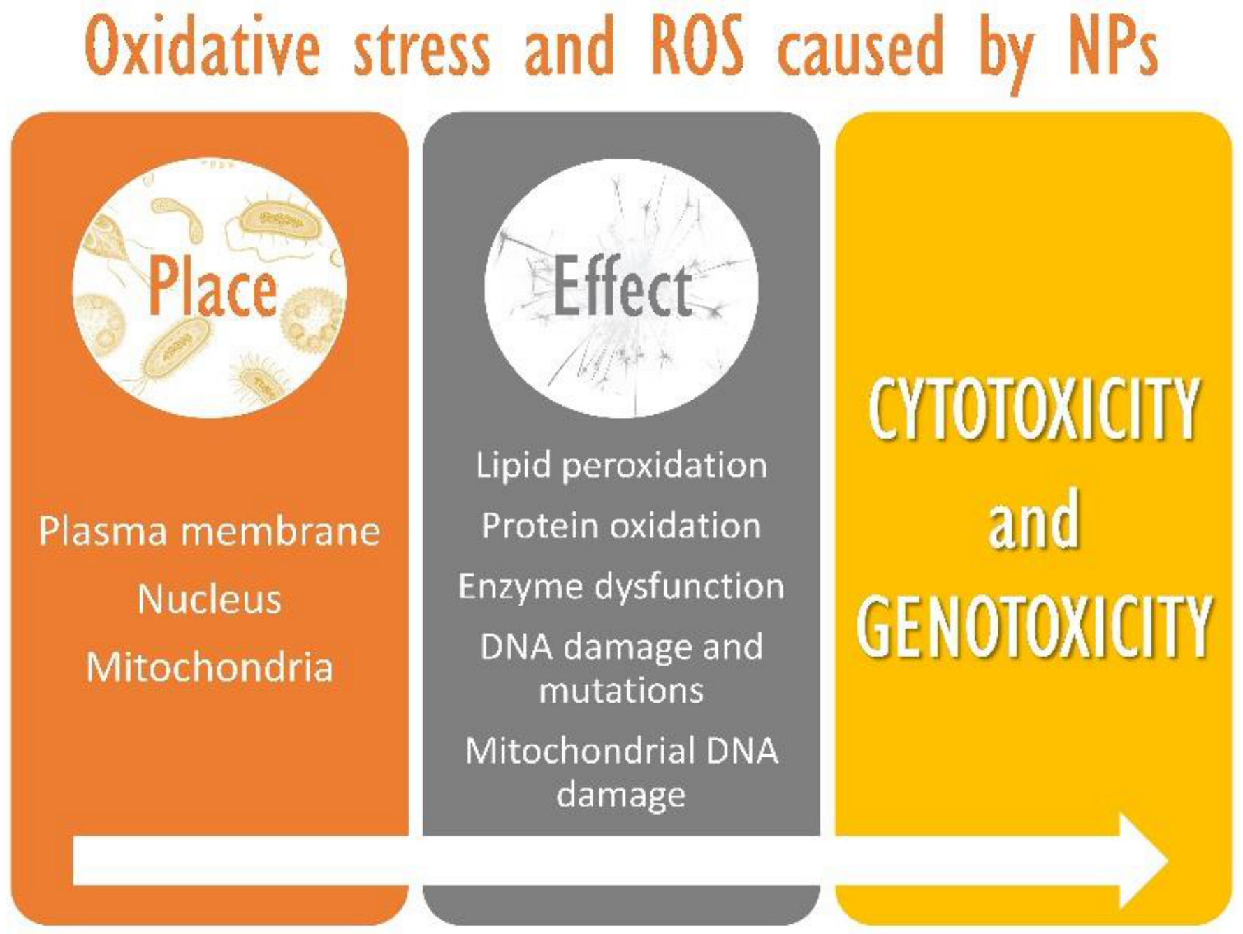 Materials 14 00166 g006