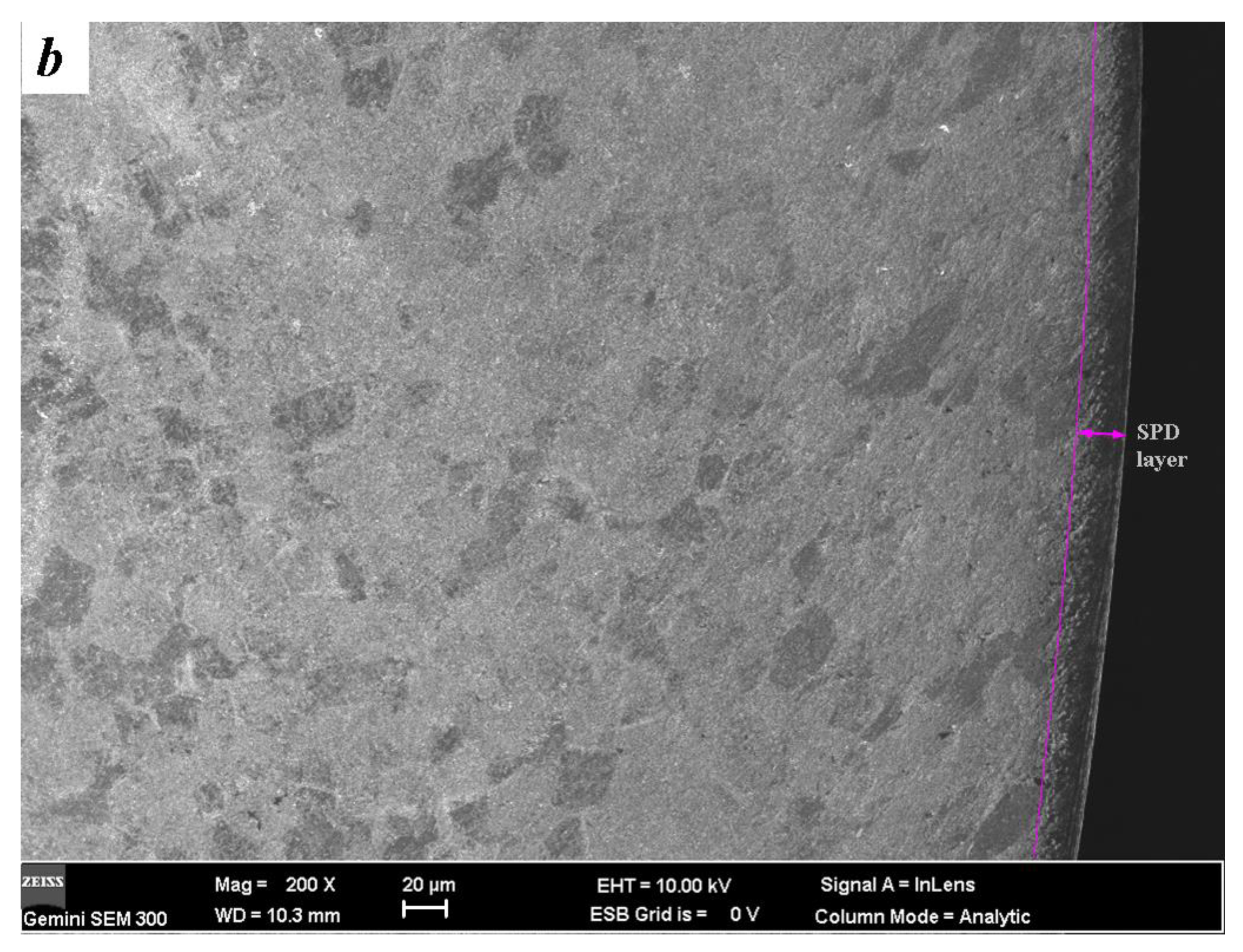 Materials 14 00171 g002b