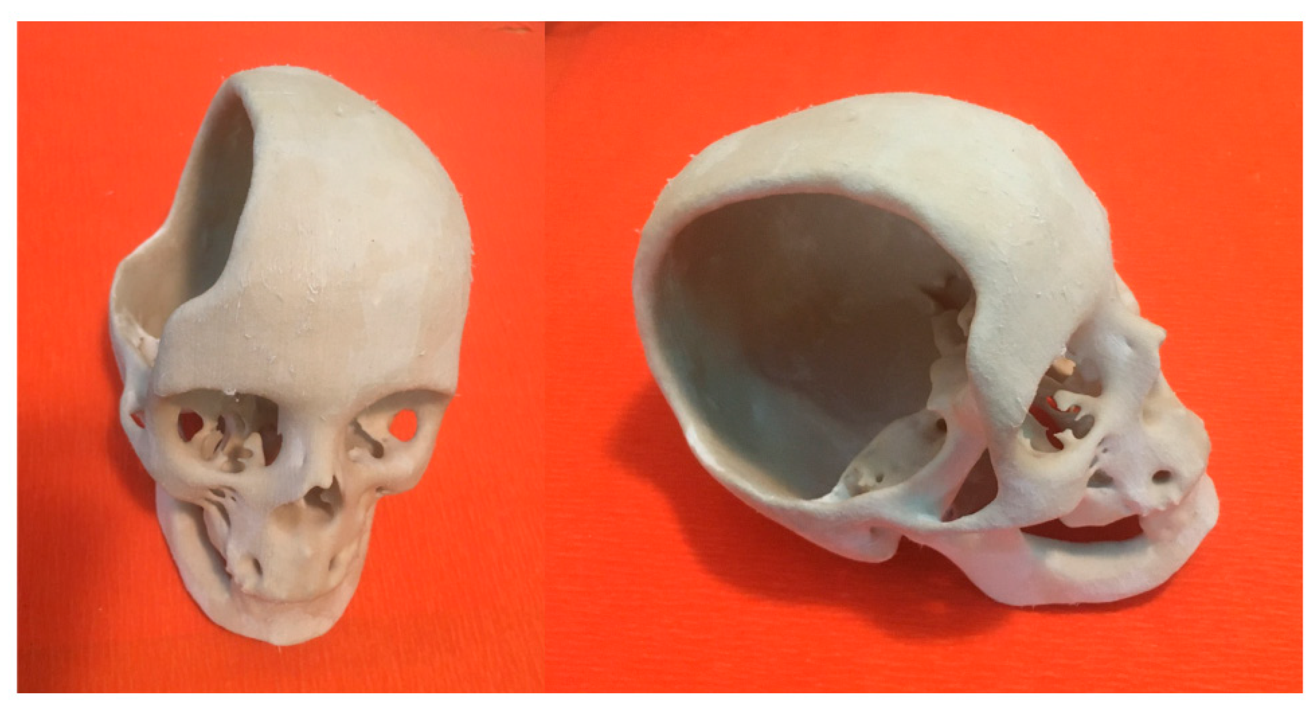 Materials 14 00181 g009 Materials 14 00181 g009