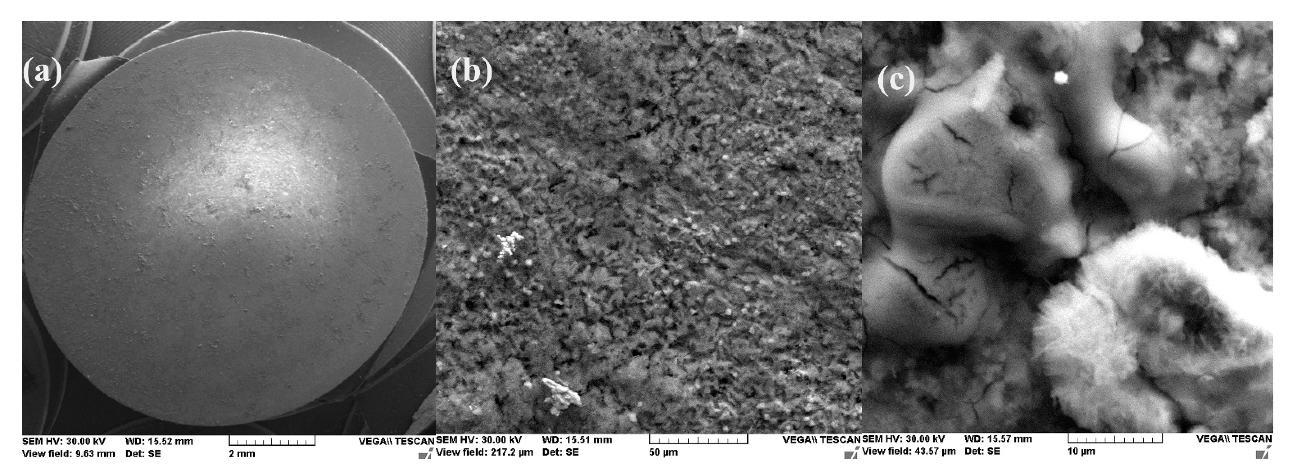 Materials 14 00188 g003