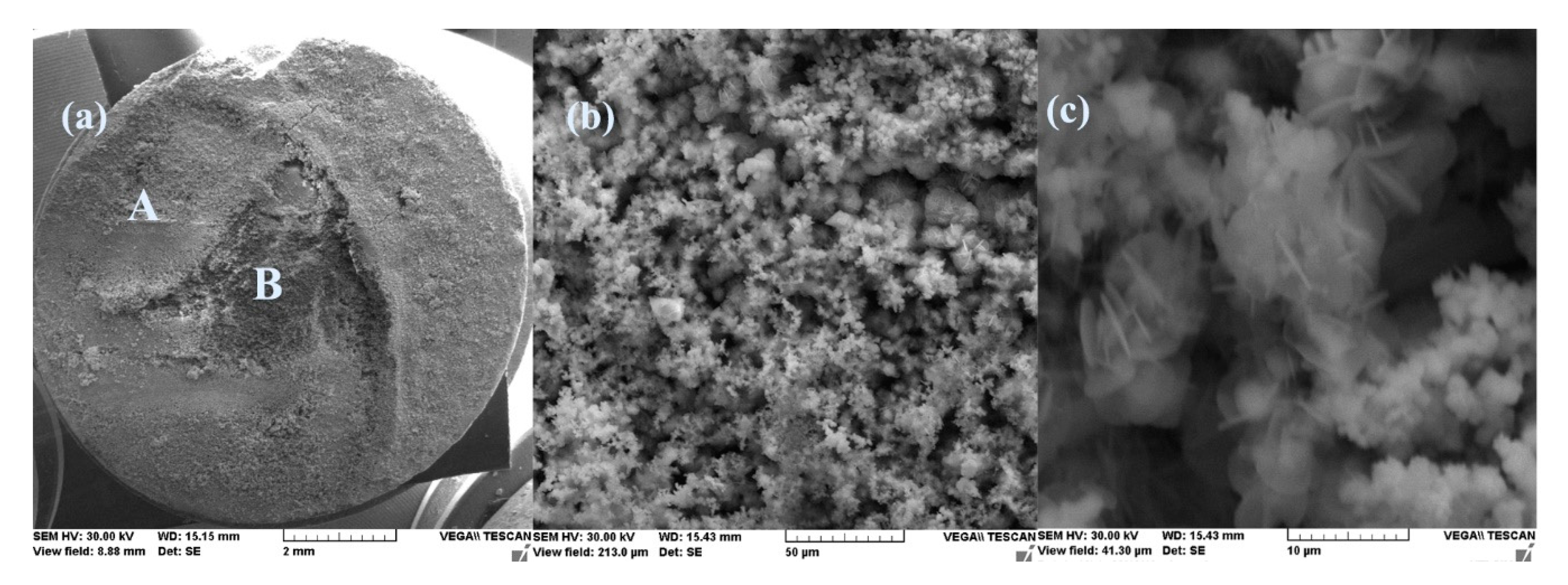 Materials 14 00188 g011