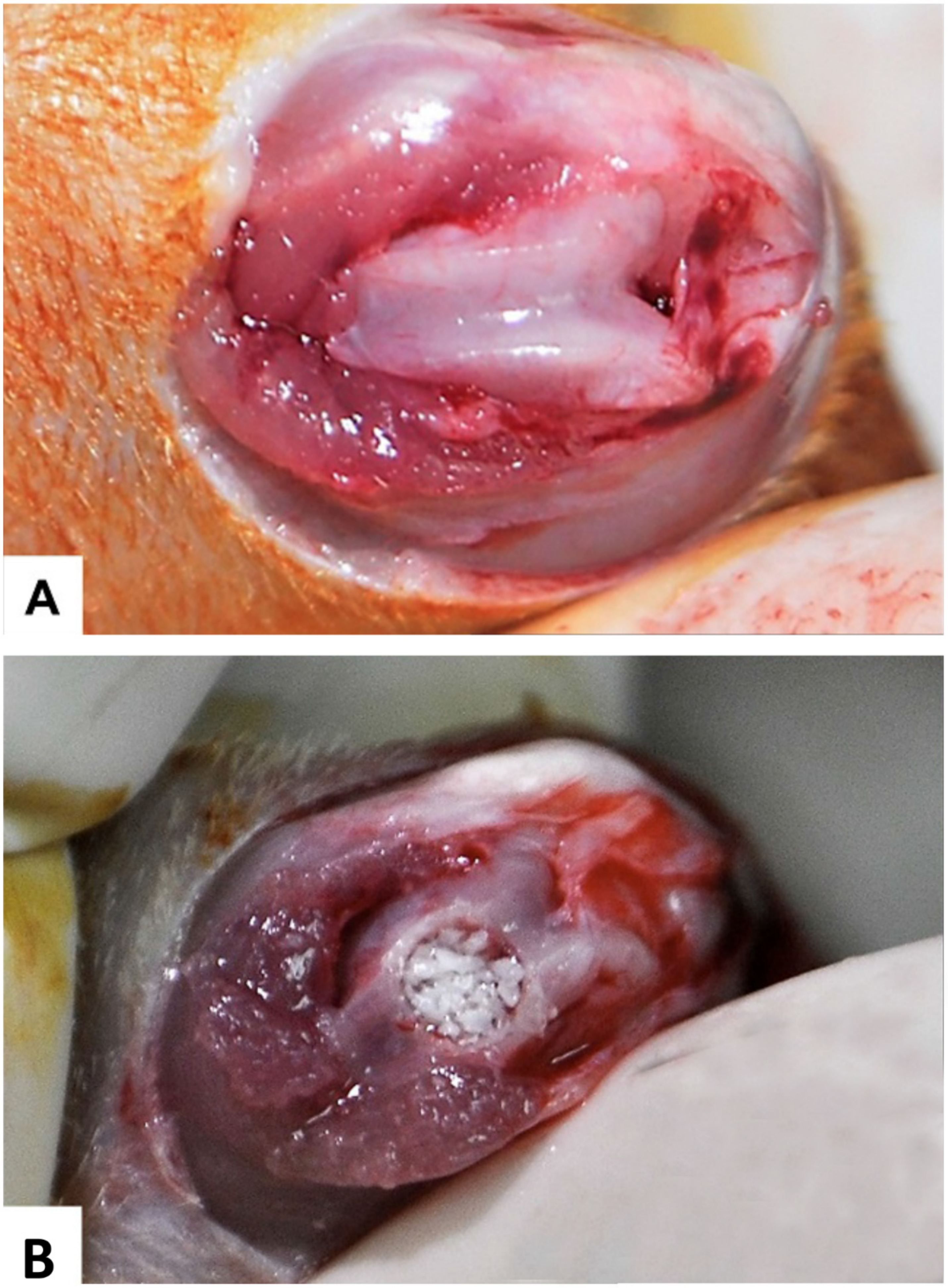 Materials 14 00222 g001