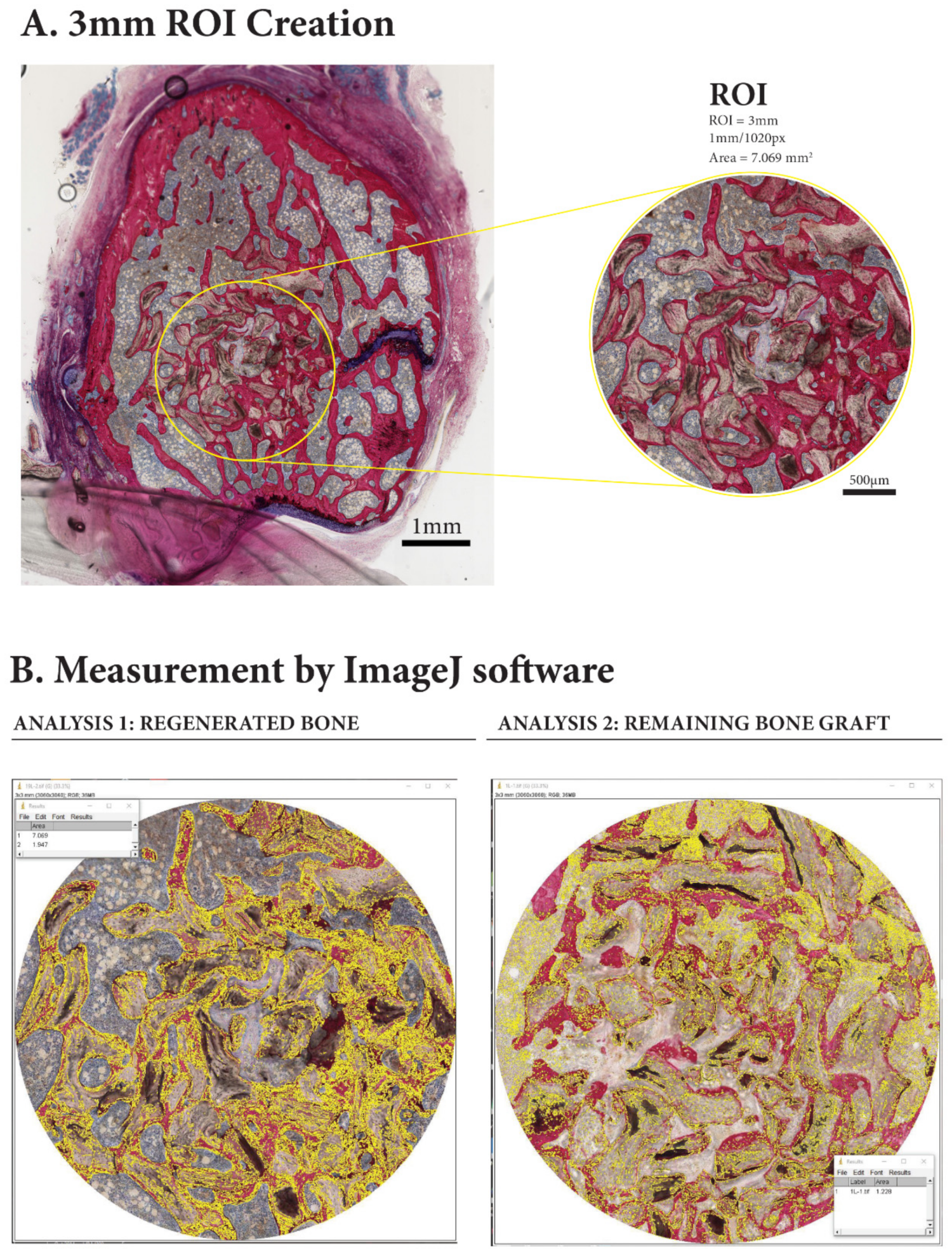 Materials 14 00222 g003