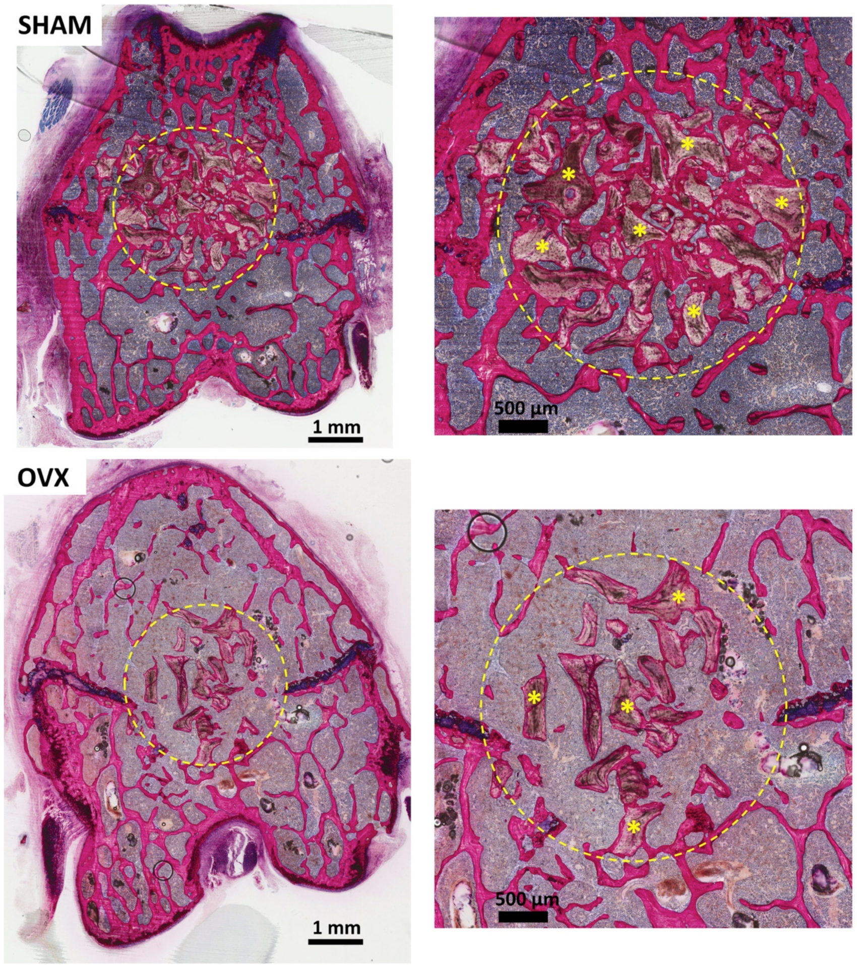 Materials 14 00222 g004