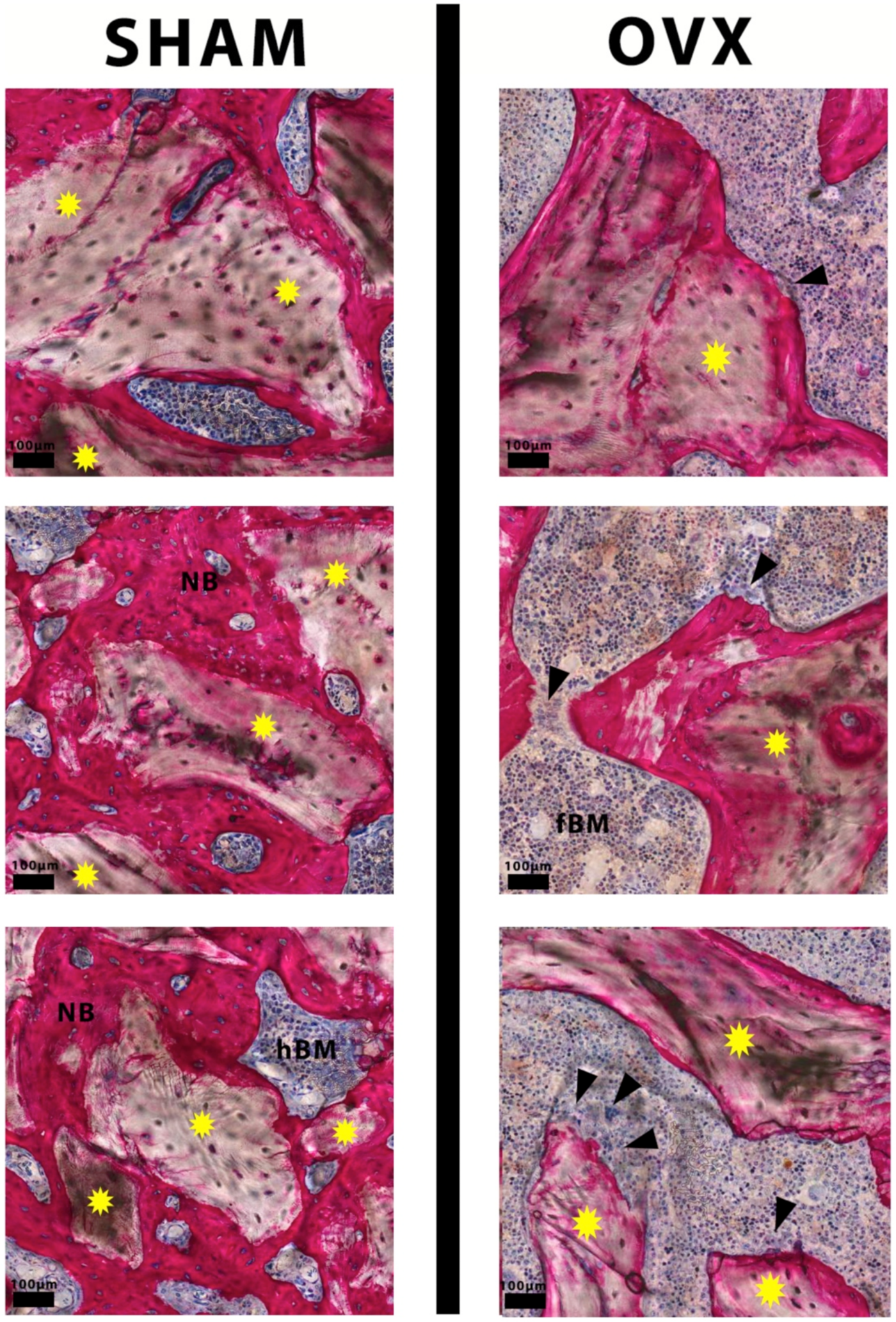 Materials 14 00222 g005