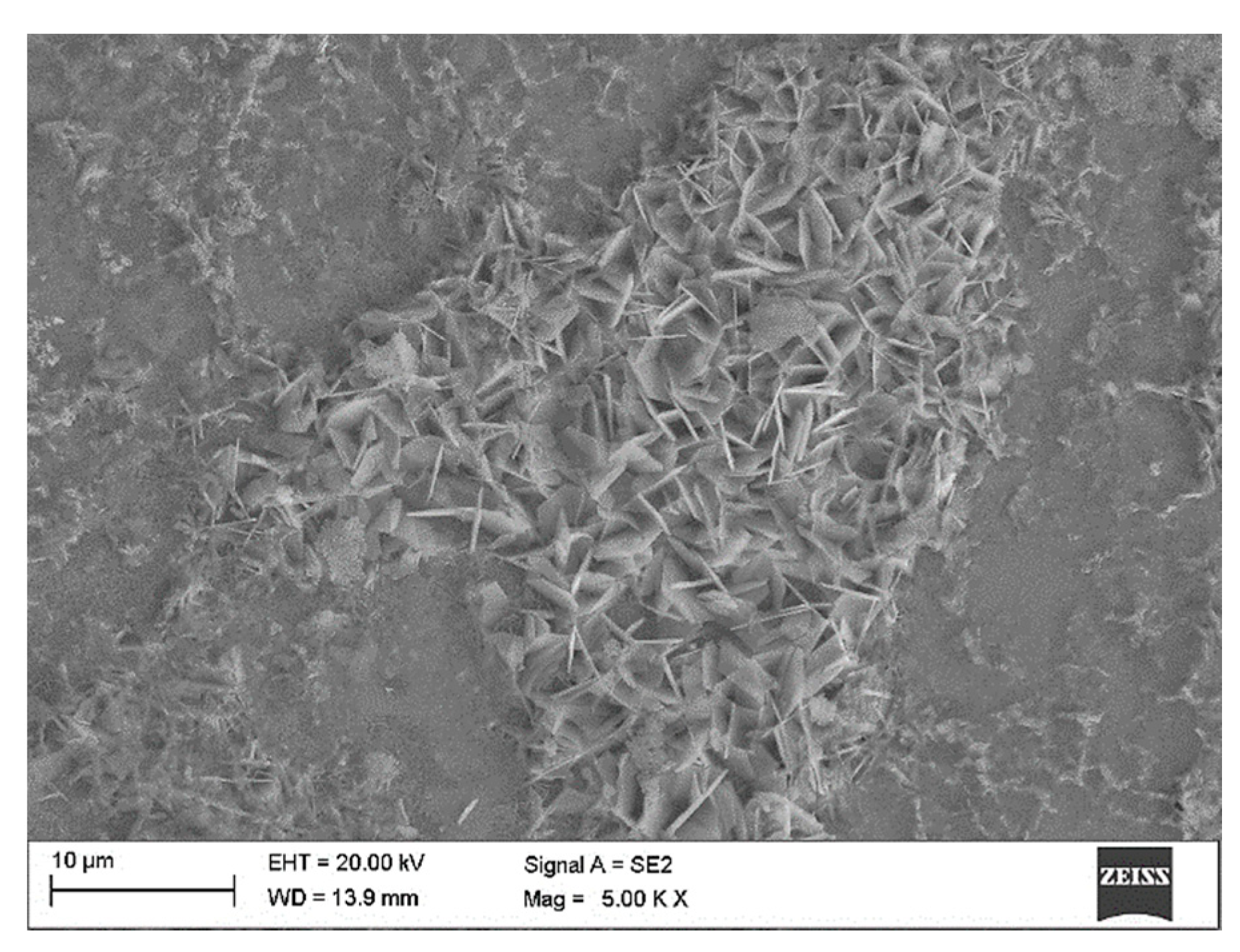 Materials 14 00230 g010