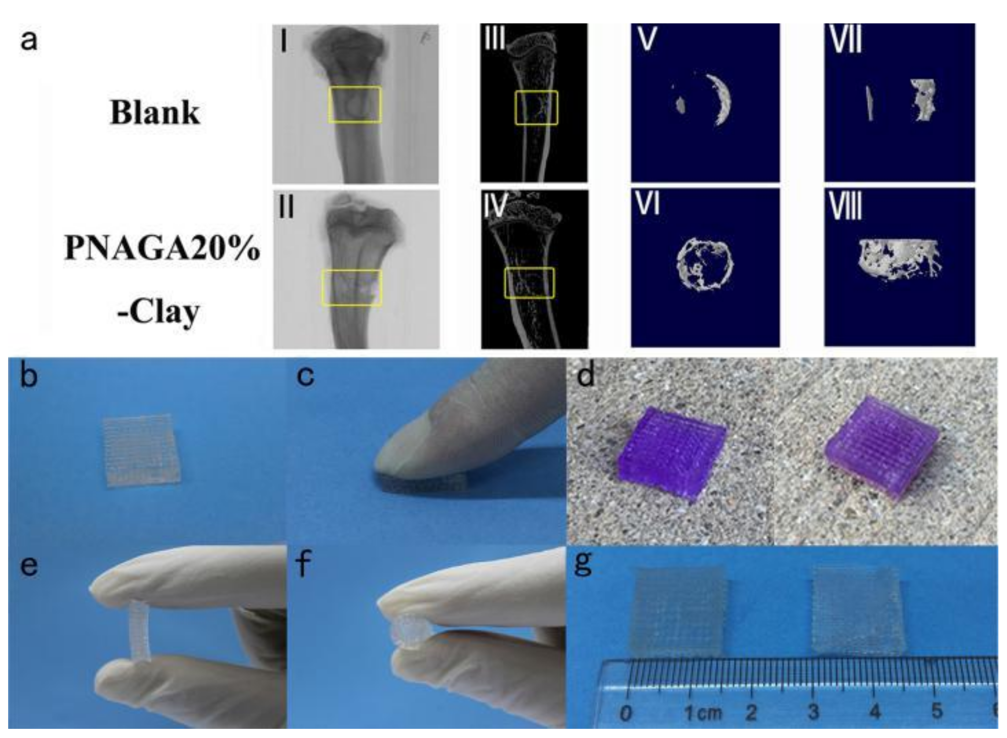 Materials 14 00235 g006 Materials 14 00235 g006