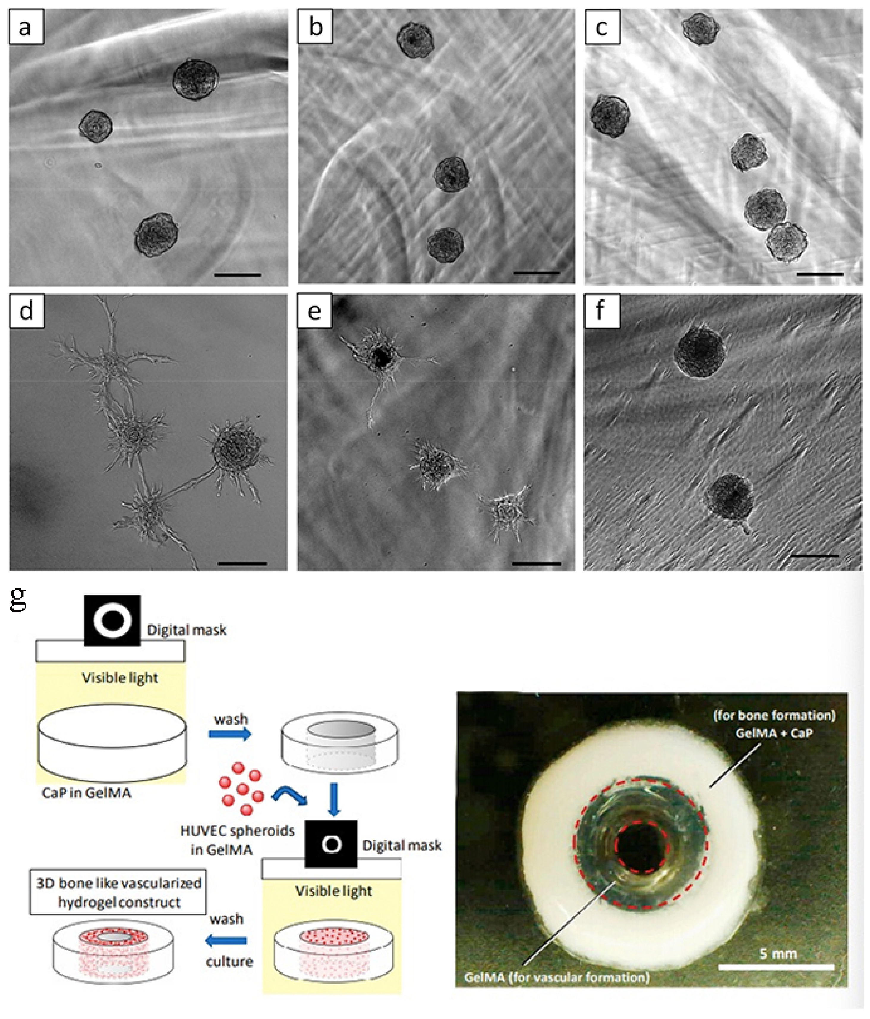 Materials 14 00235 g008 Materials 14 00235 g008