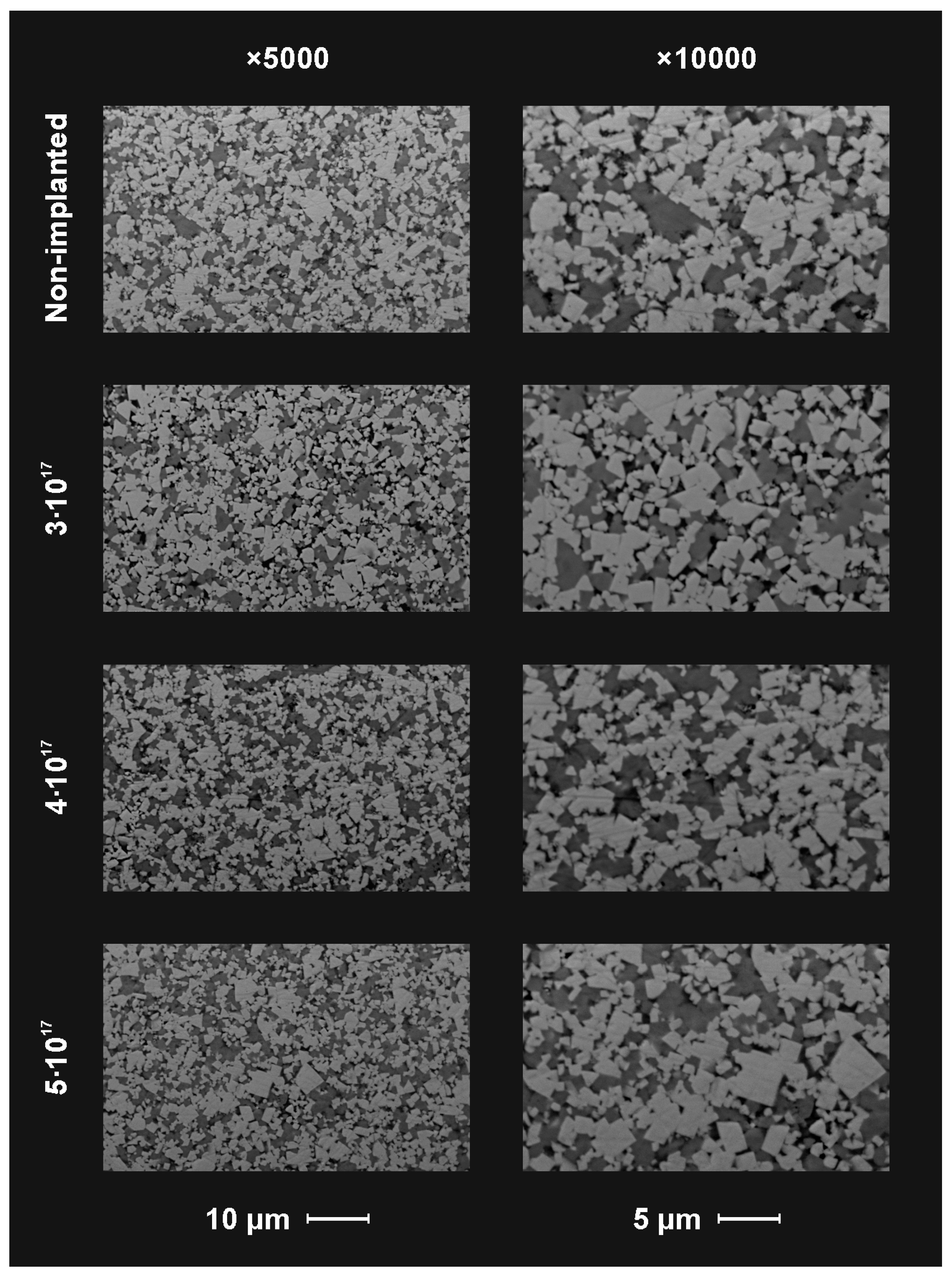 Materials 14 00239 g004