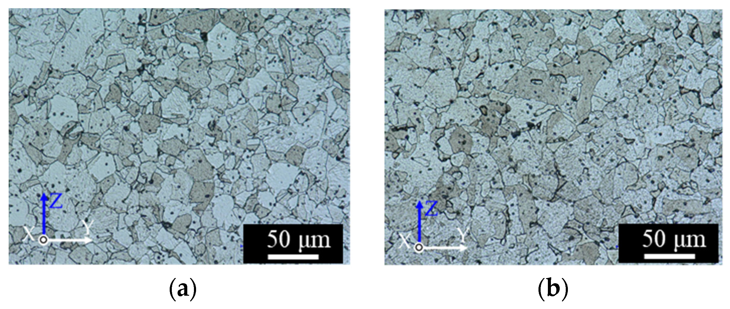 Materials 14 00243 g006