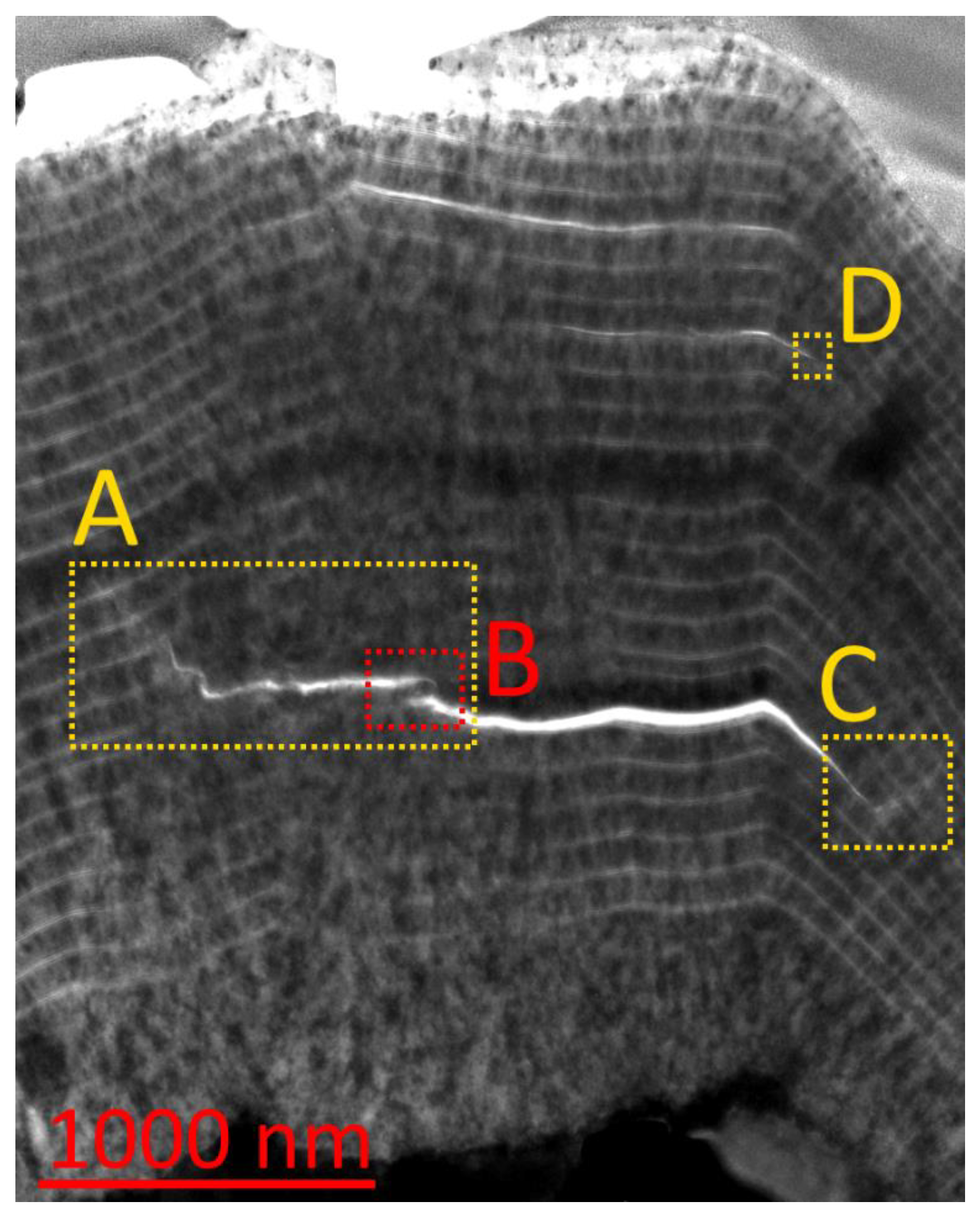 Materials 14 00260 g006