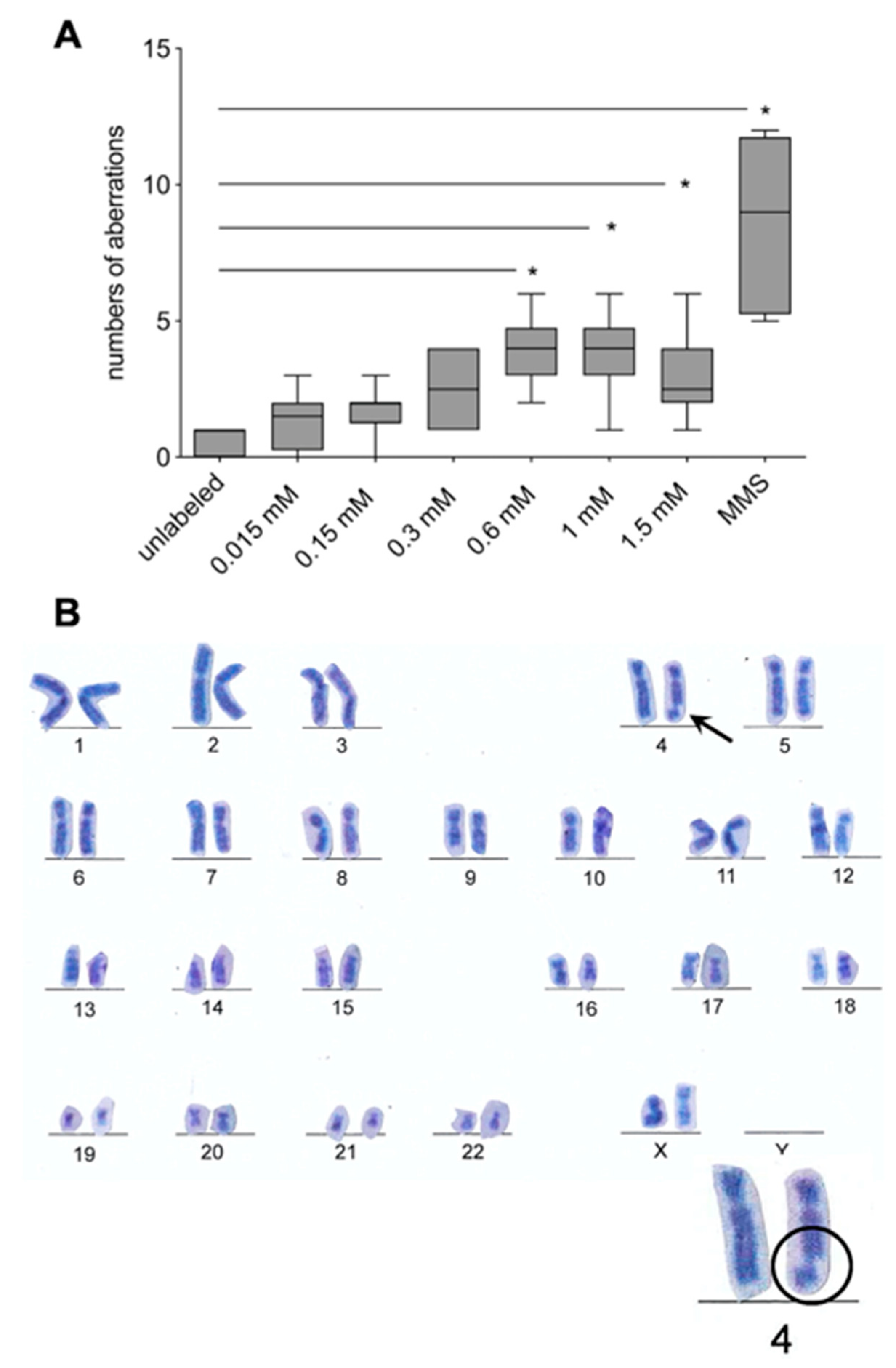 Materials 14 00263 g004