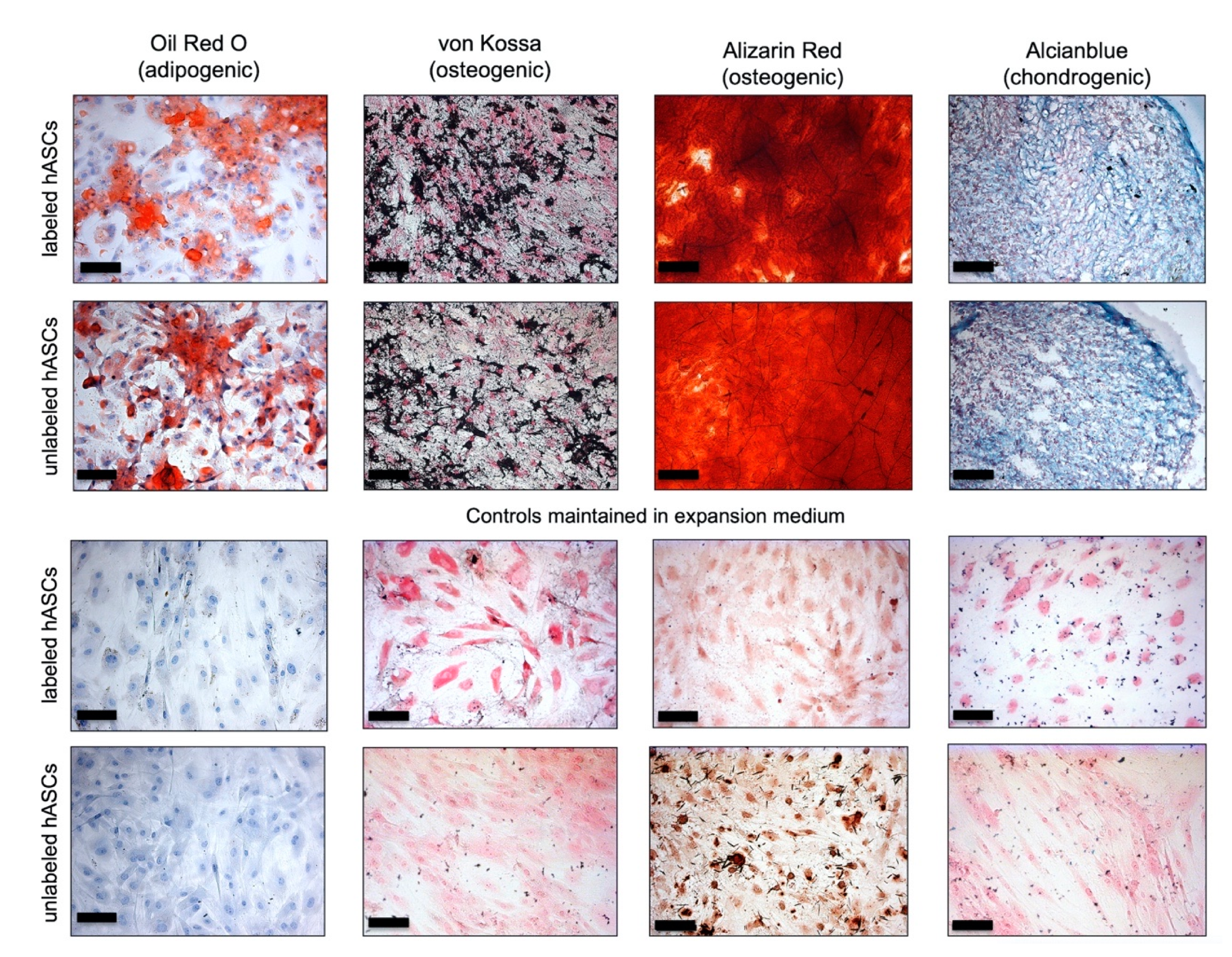 Materials 14 00263 g008